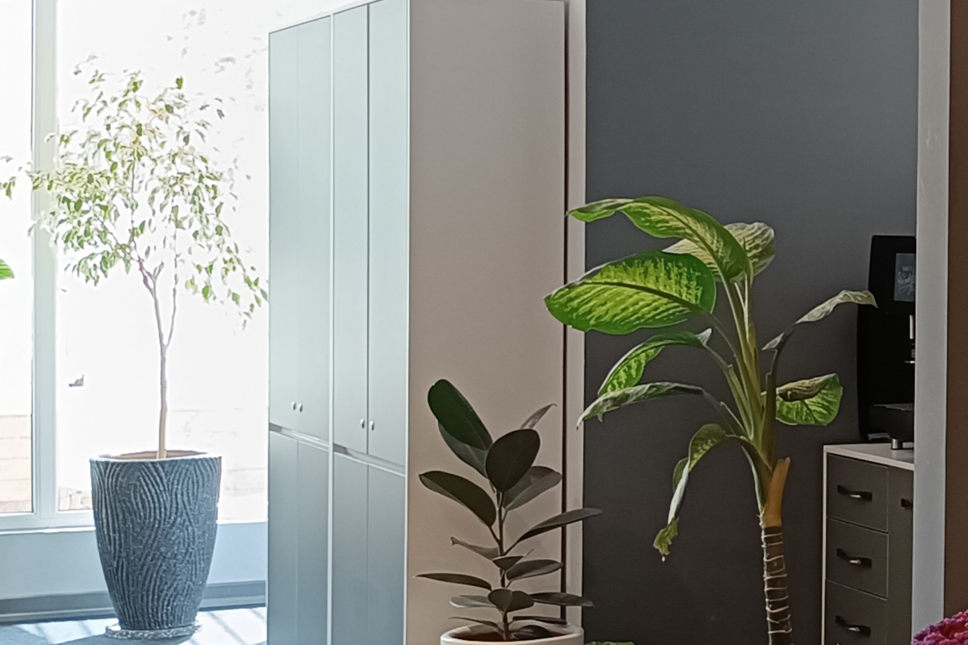 برش دوربین اصلی ردمی نوت 11S - روز - HDR