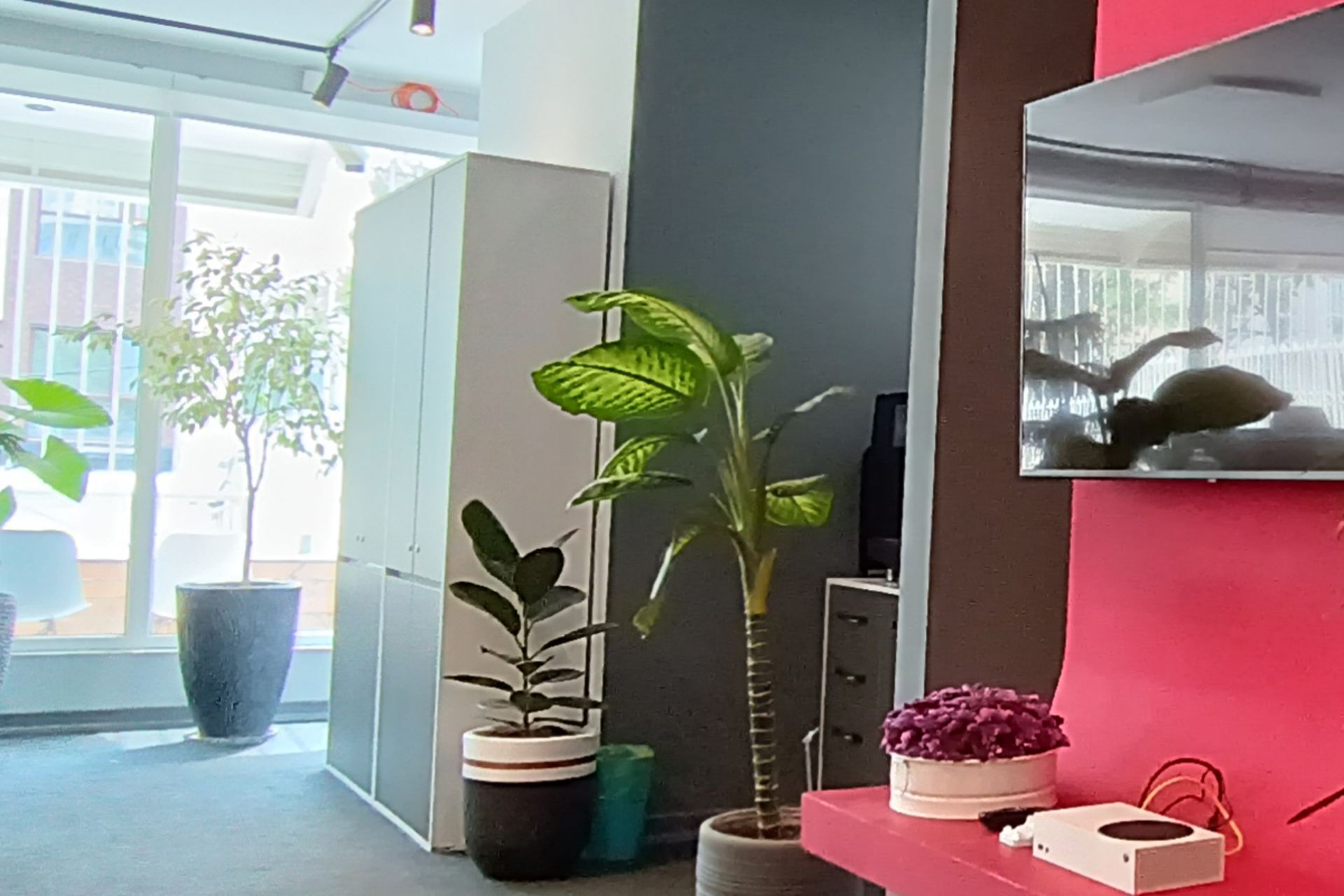 برش دوربین اولتراواید ردمی نوت 11S - روز - HDR