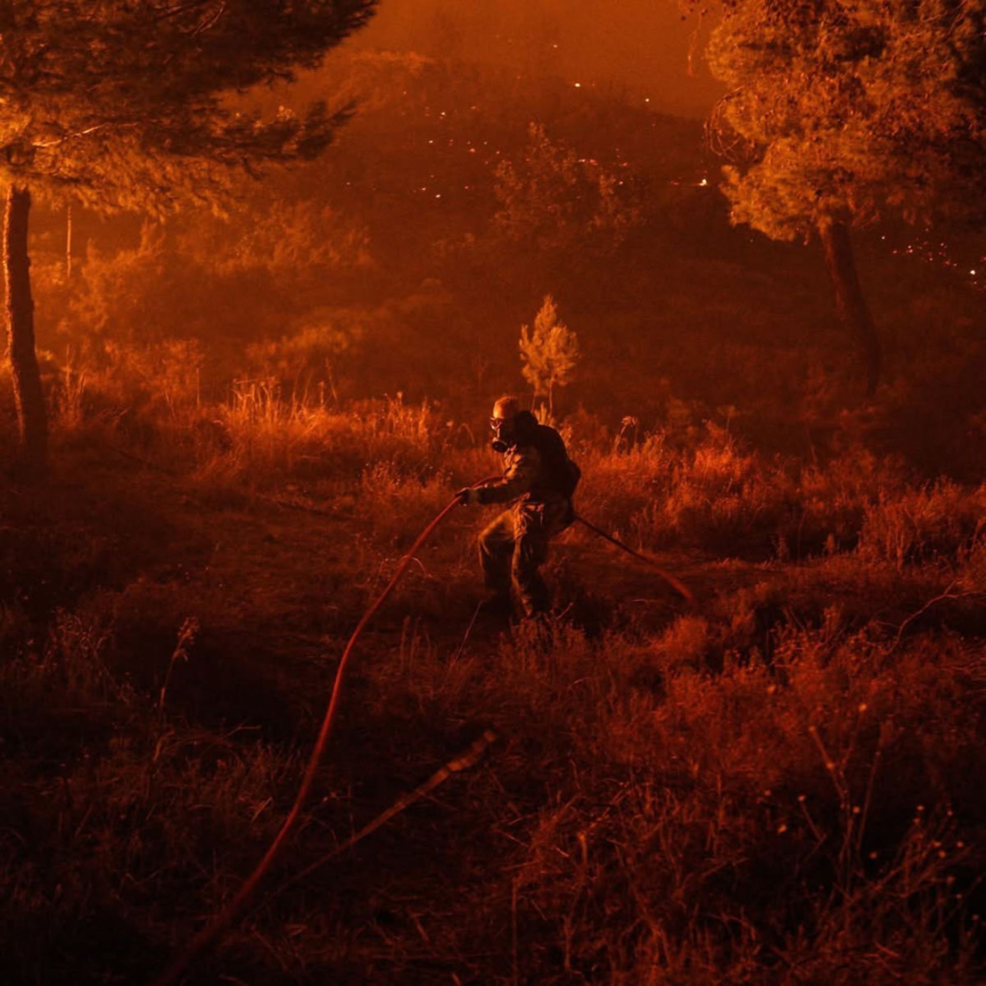 آتش‌نشان در حال خاموش کردن آتش در جنگل در یونان