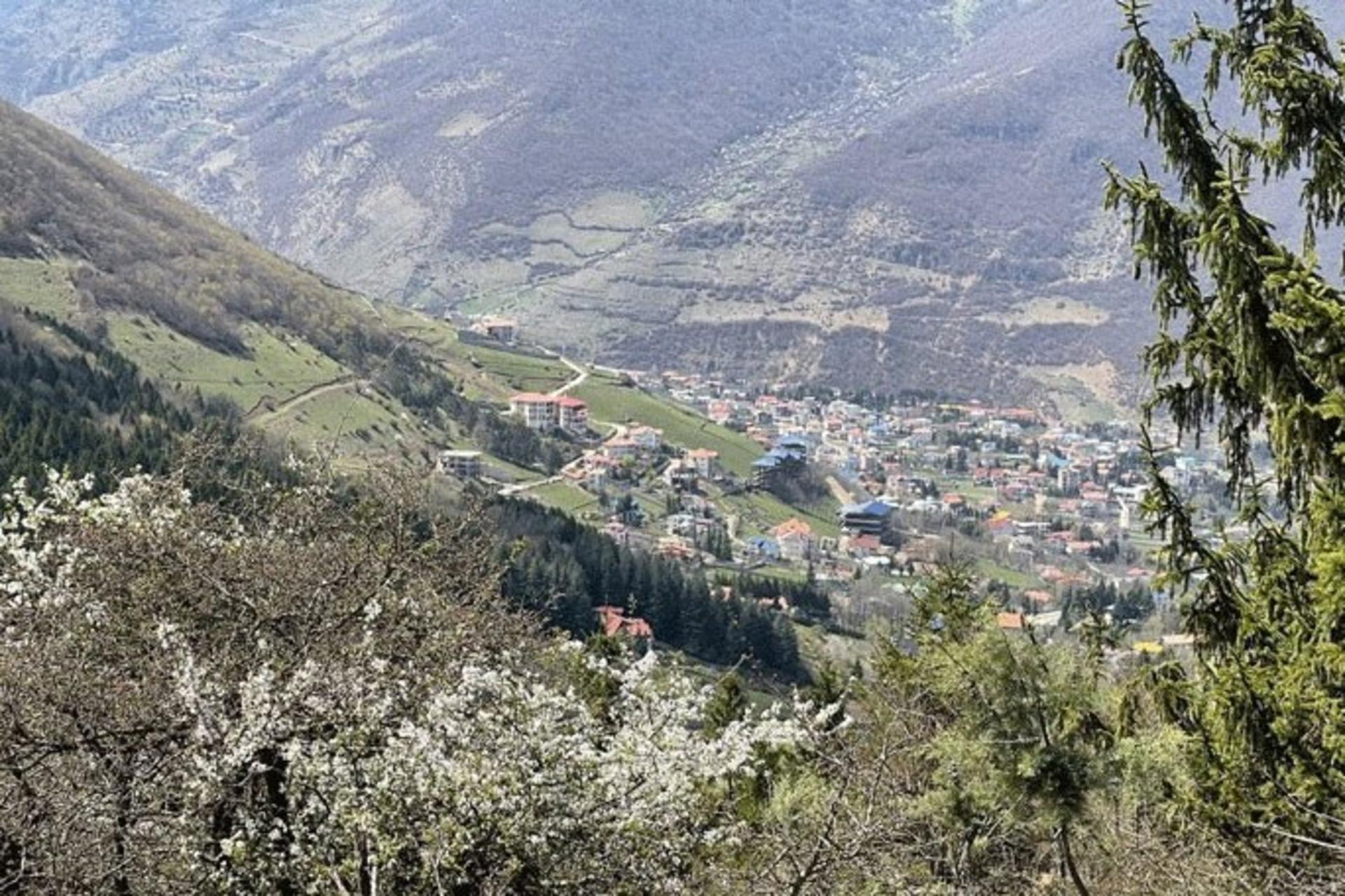 شب