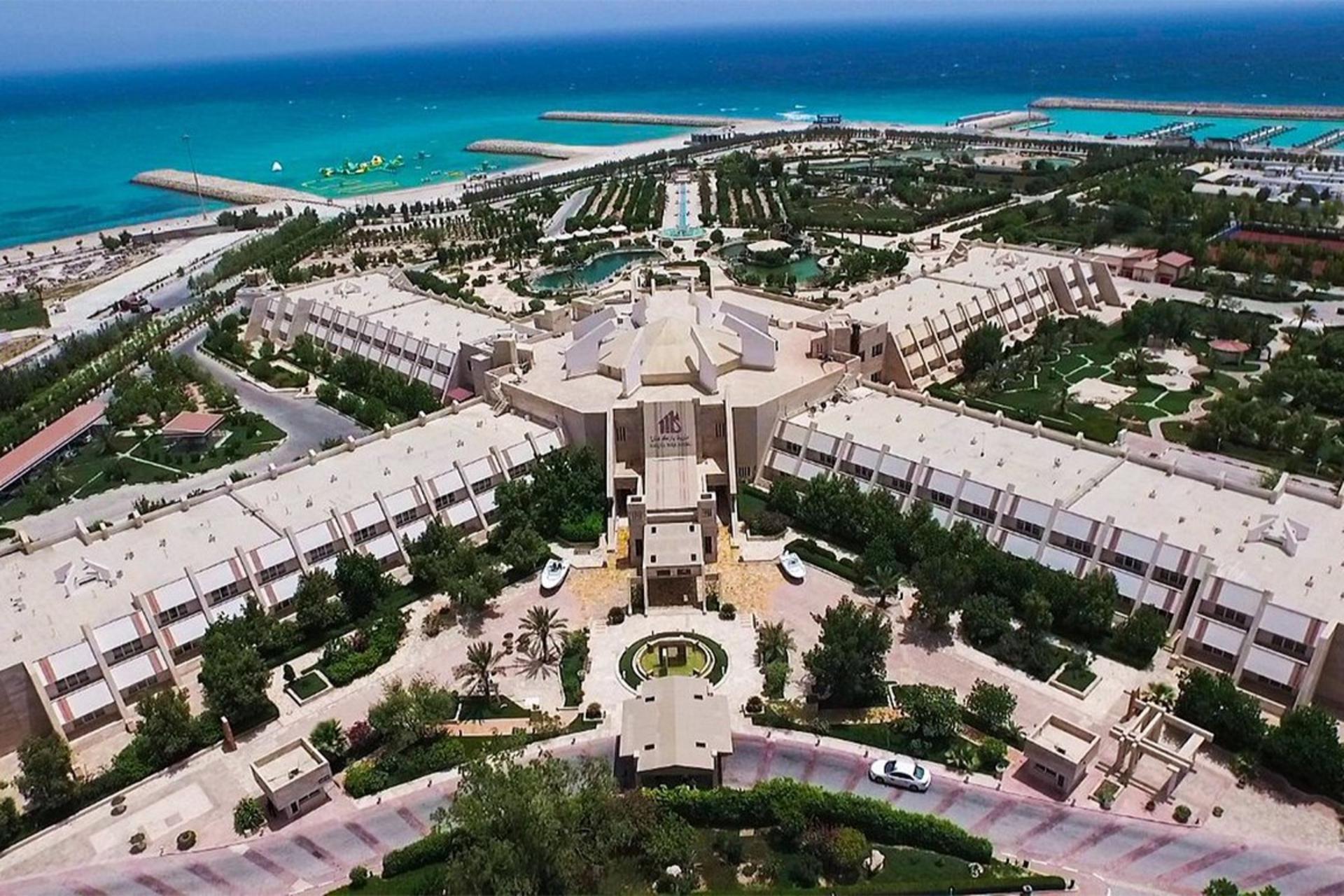 فلای تودی