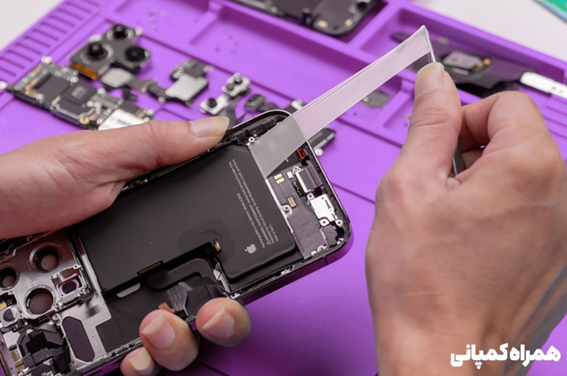 همراه کمپانی