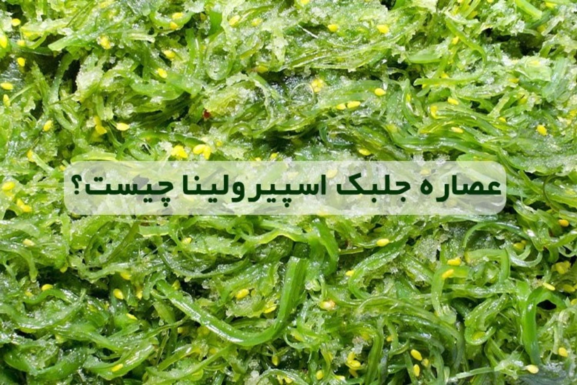 ایران کلروفیل