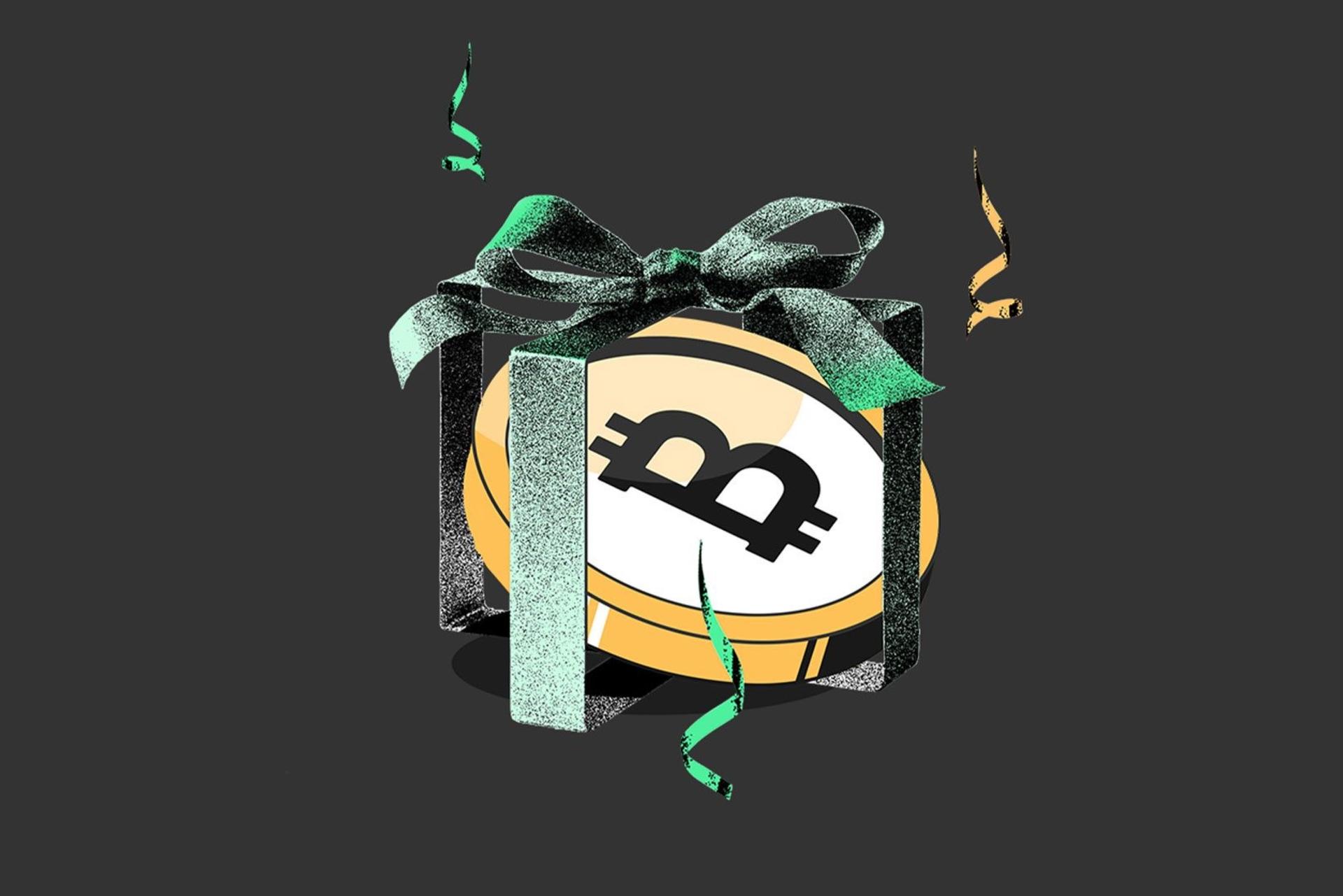 بیت پین