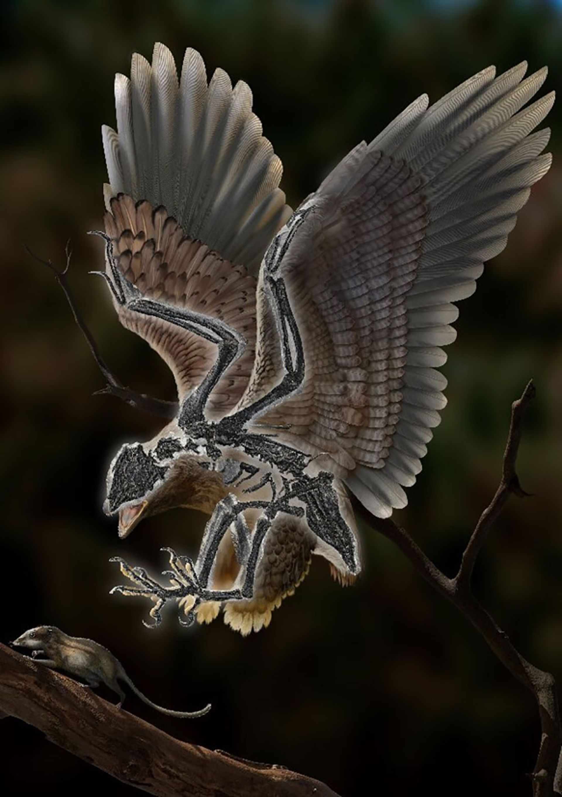 تصویرسازی هنری پرنده ۱۲۰ میلیون ساله