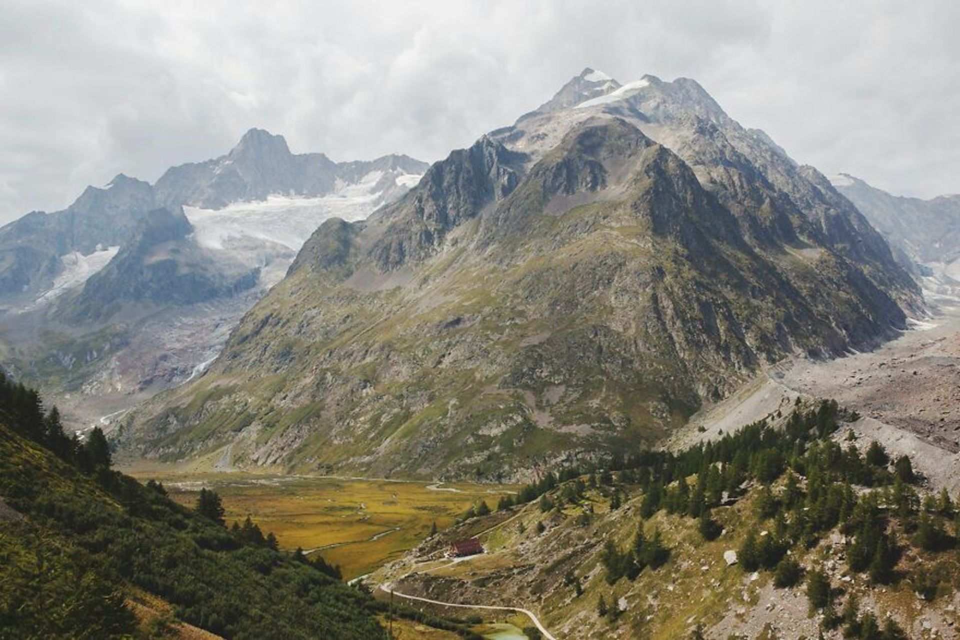 منظره کوه مون بلان آلپ