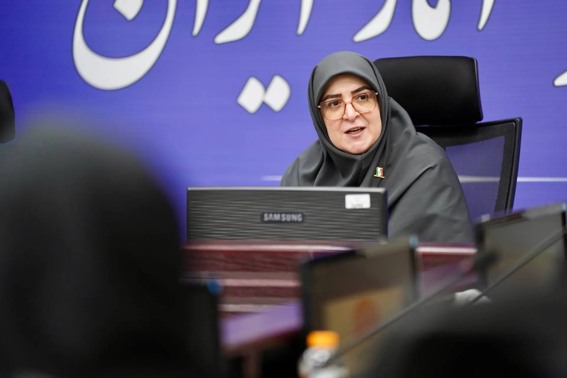 فاطمه مهاجرانی، سخنگوی دولت