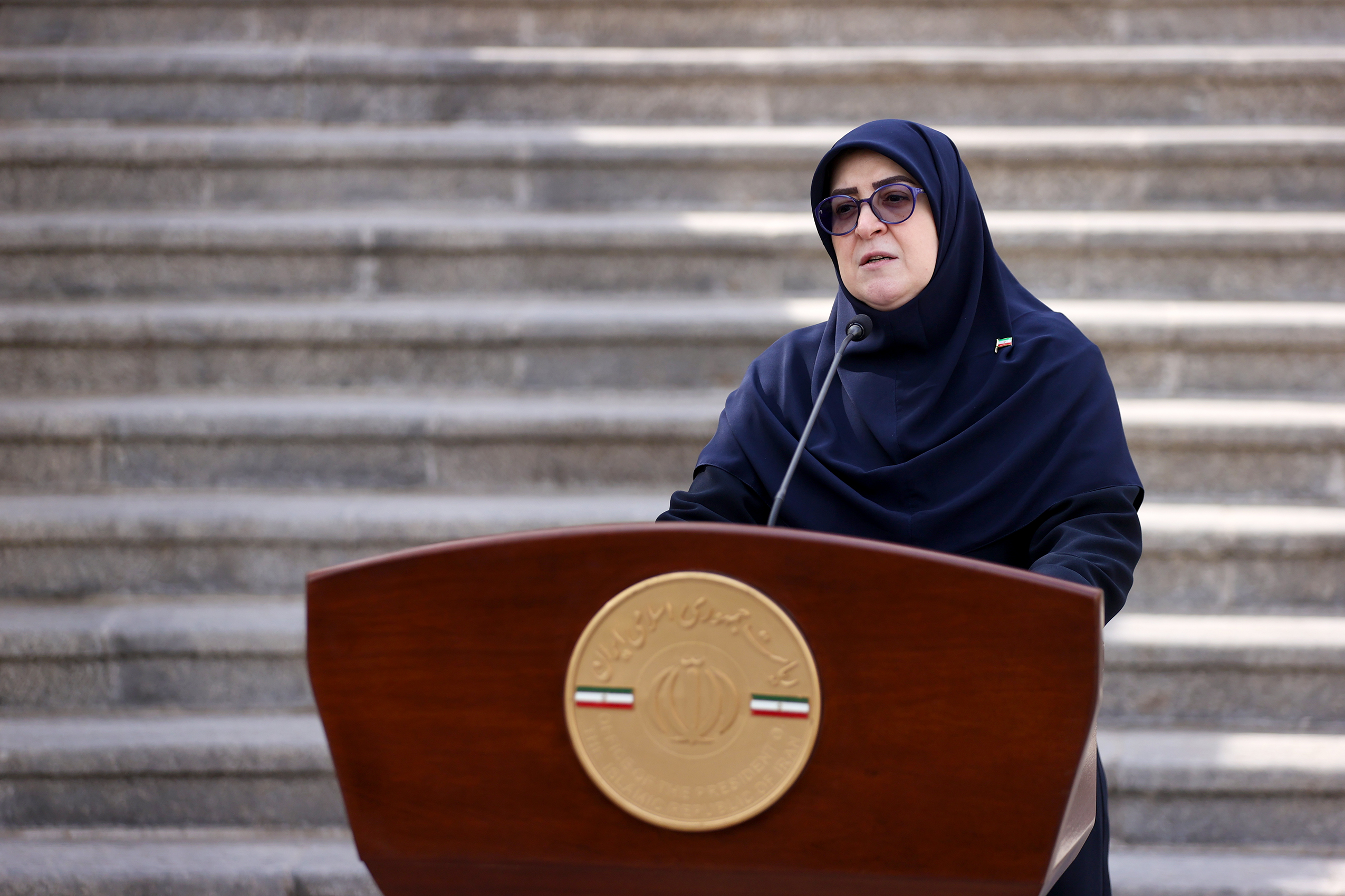 فاطمه مهاجرانی سخنگوی دولت