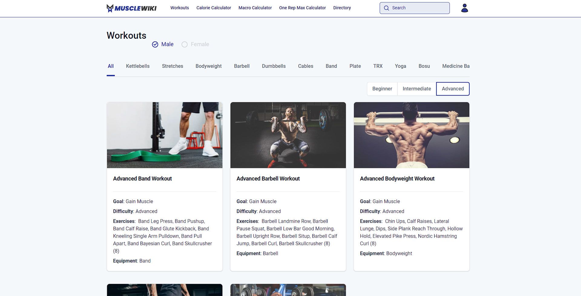 تصویر افرادی در حال ورزش کردن و مقاله های مرتبط با آن‌ها در سایت Musclewiki