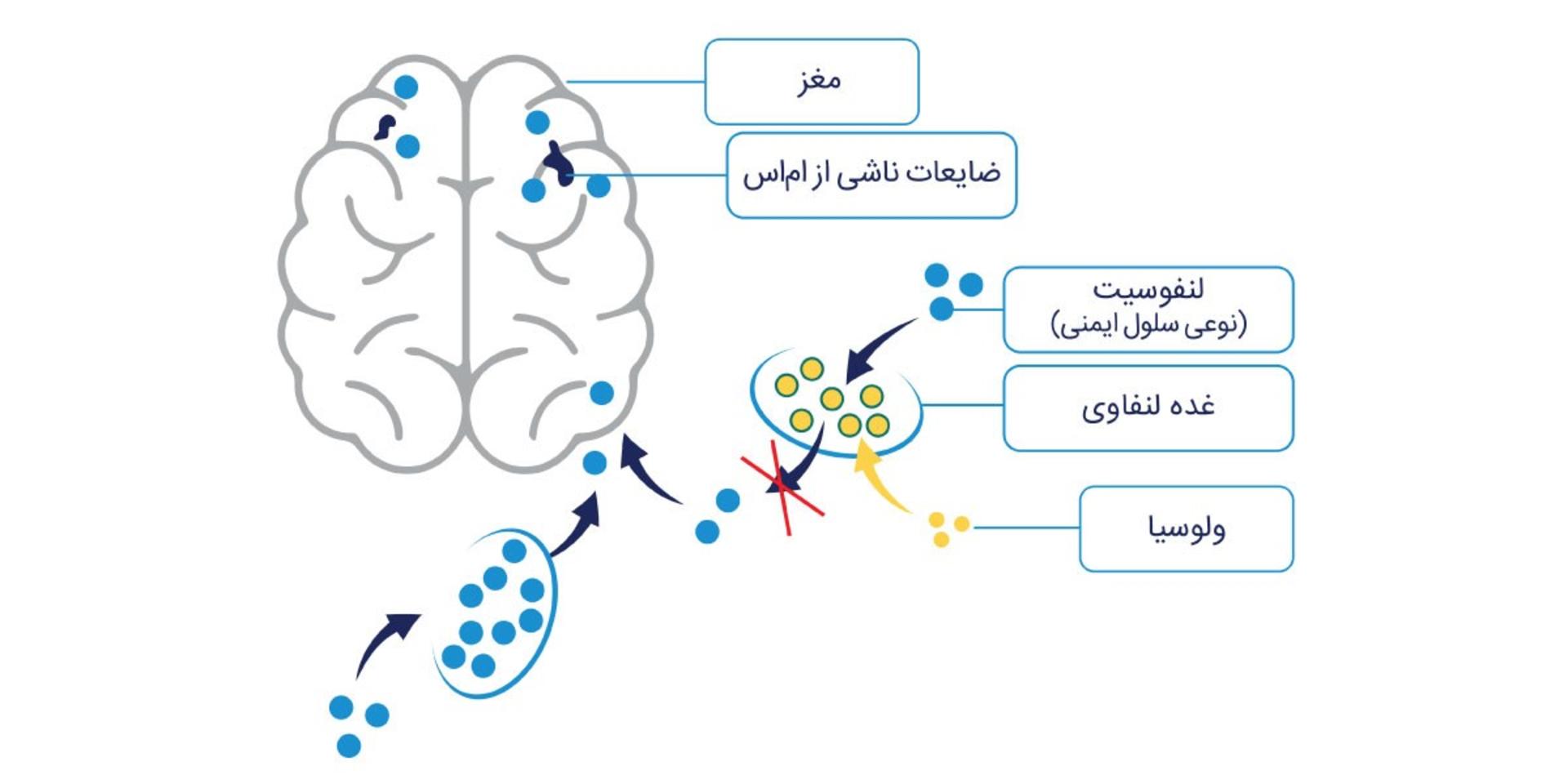 نانو الوند