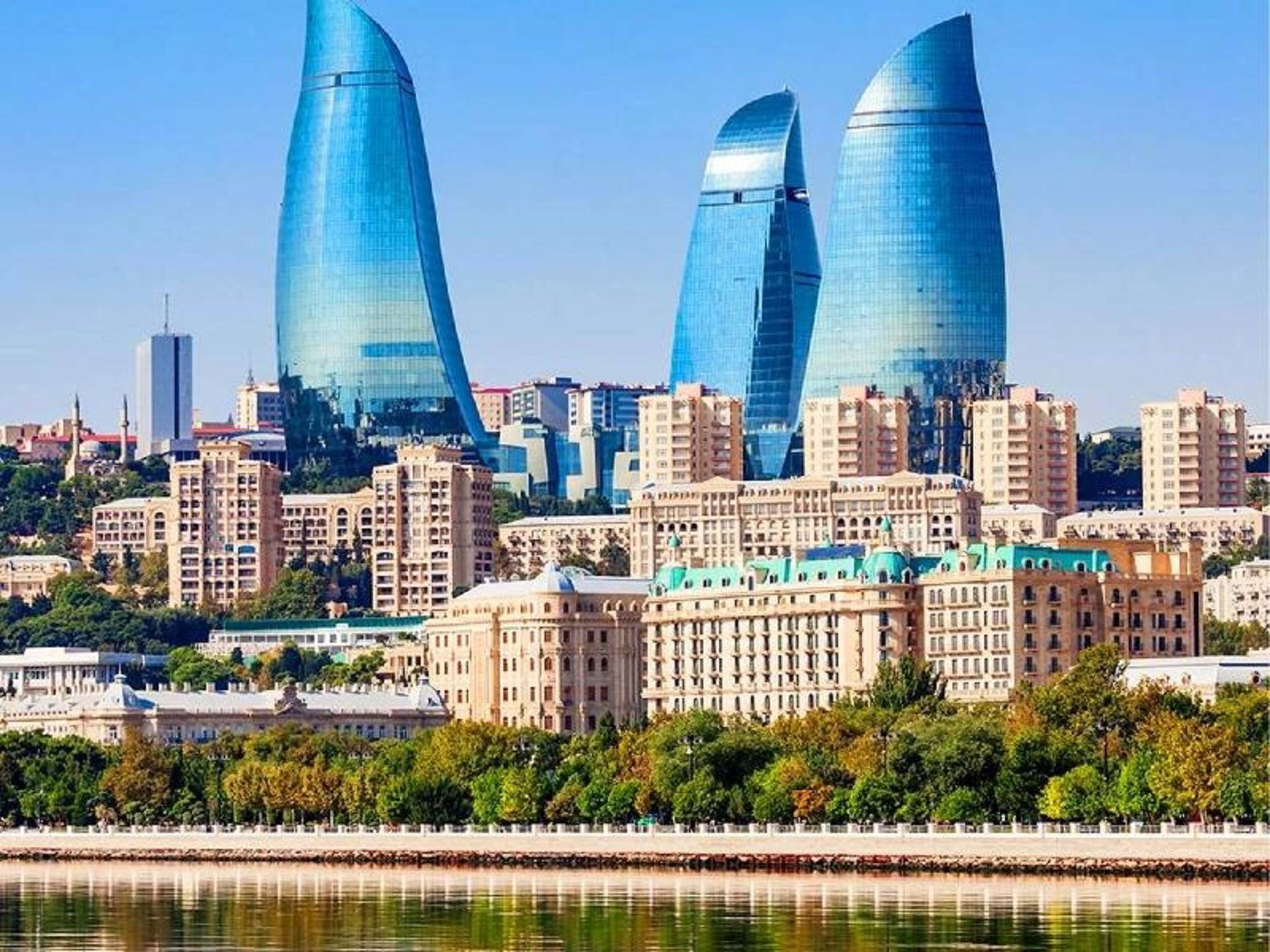 فلای تودی