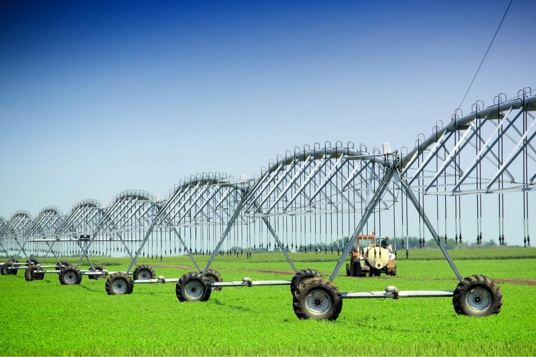مزرعه با سیستم آبیاری عقربه‌ای 