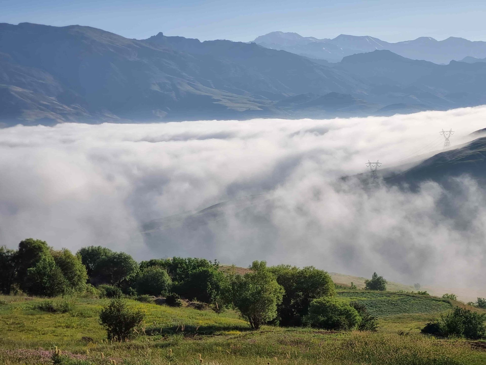 جنگل‌ دو هزار مازندران ابرپوش