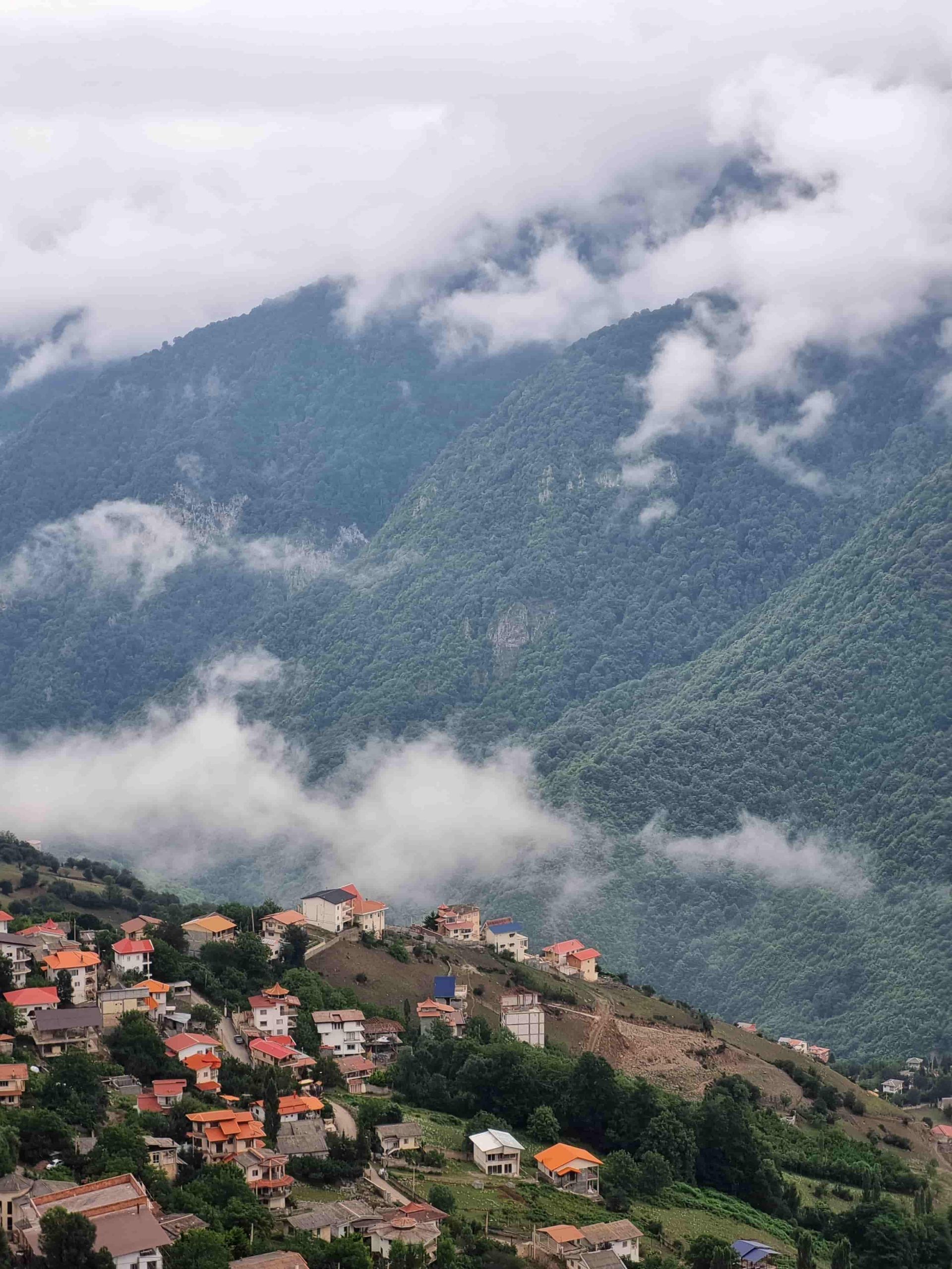 کوه و تپه سبز جنگل‌ دو هزار مازندران