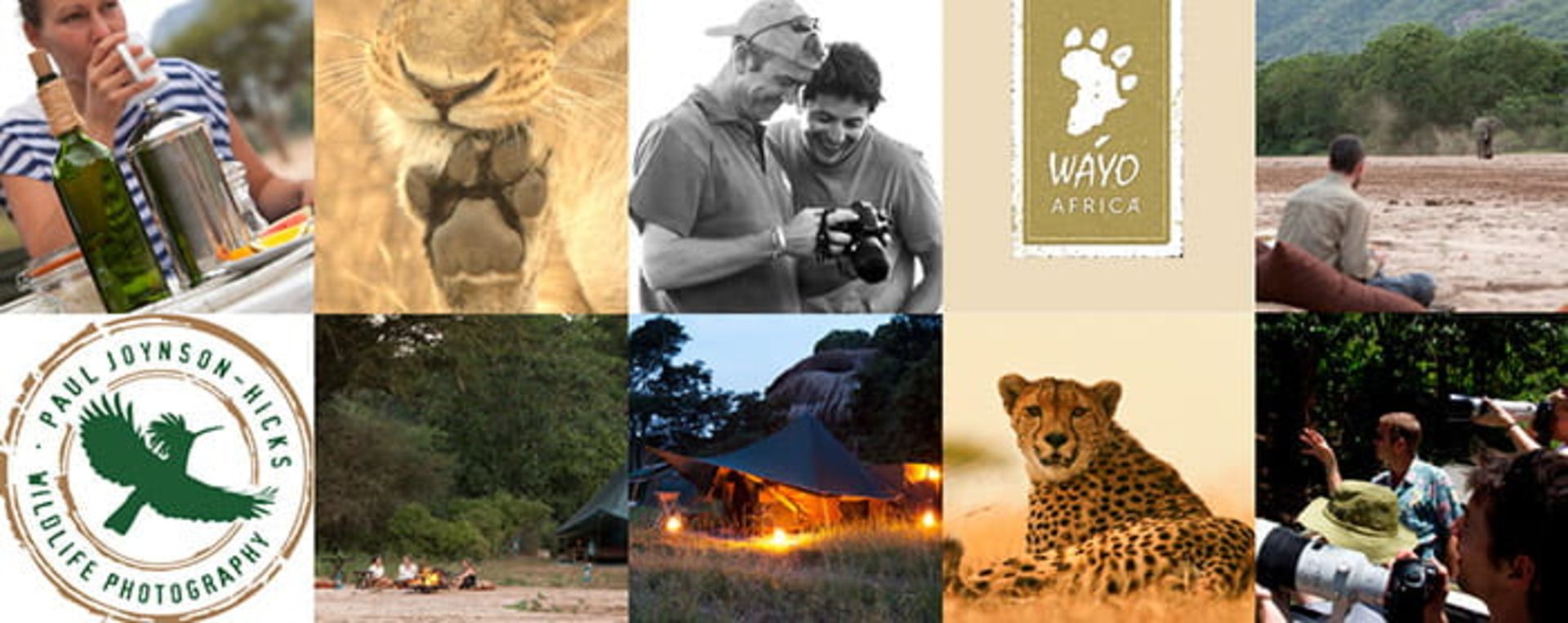 پل جوینسن هیکس و عکاسی کمدی حیوانات