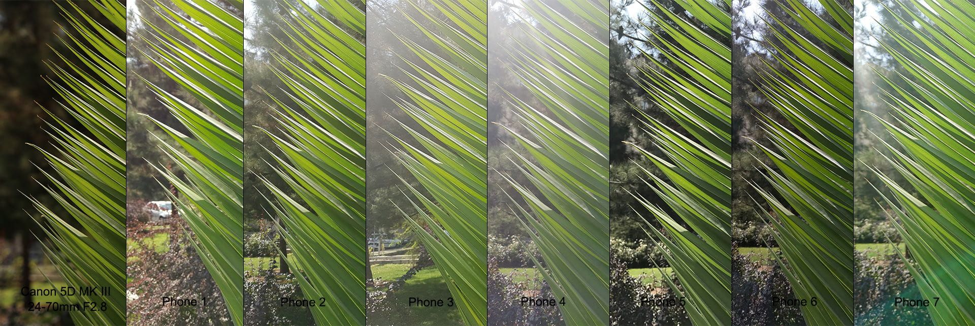 مقایسه دوربین آیفون 7 گلکسی اس 7 نکسوس 6 پی