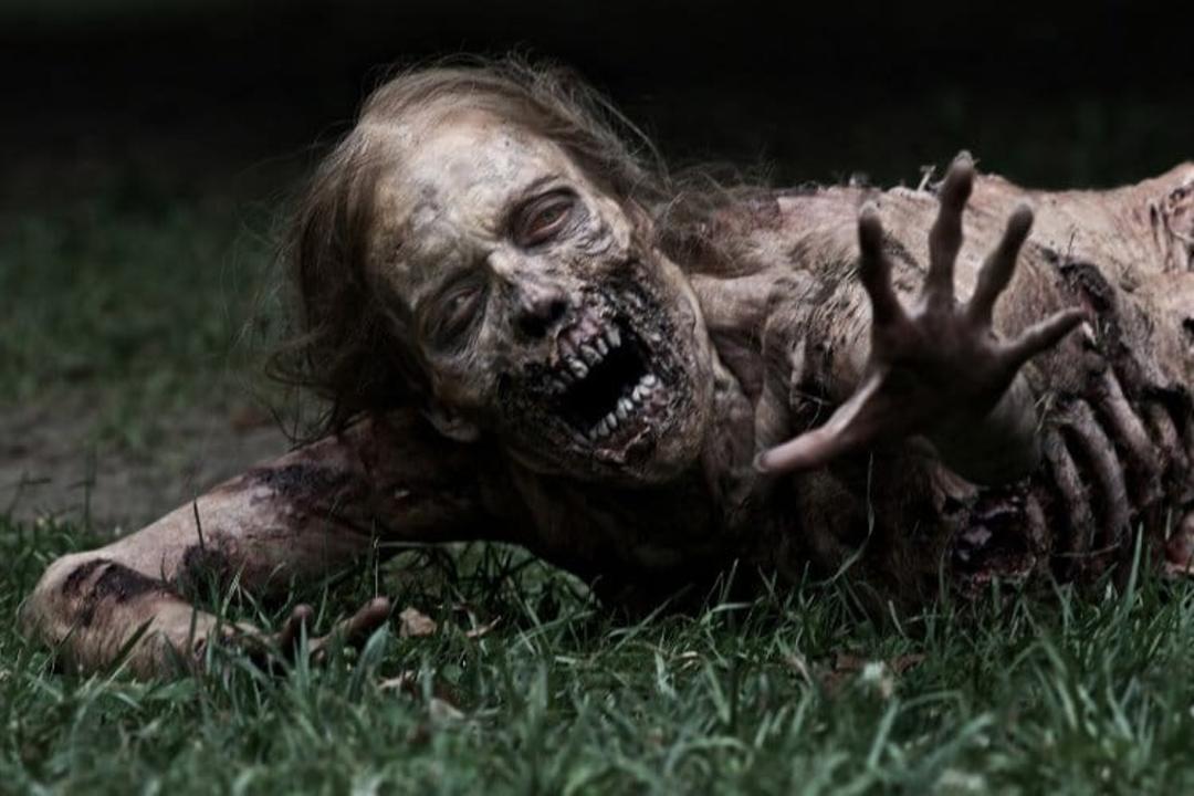 the Walking Dead