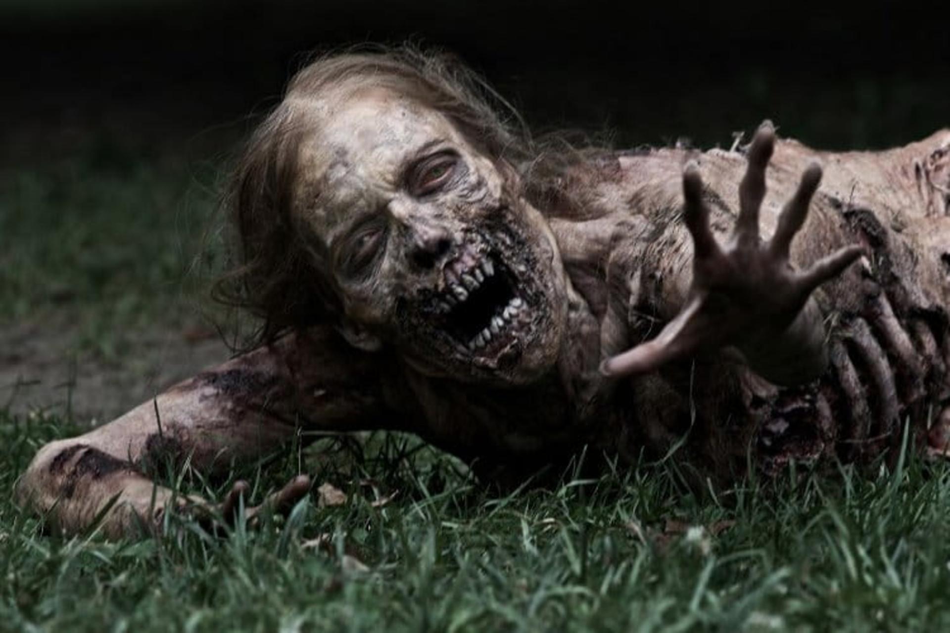 the Walking Dead