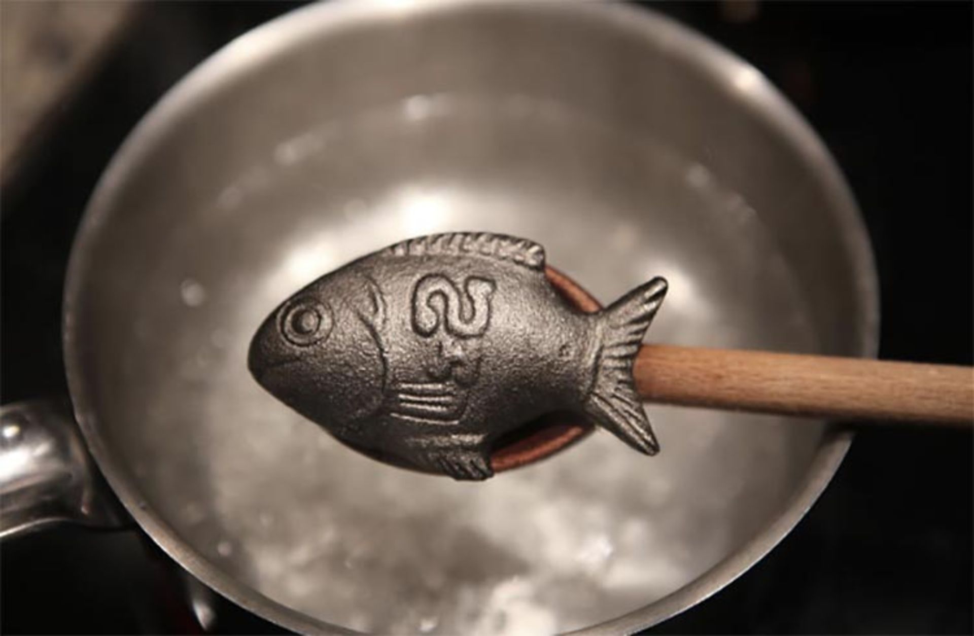 ماهی آهنی