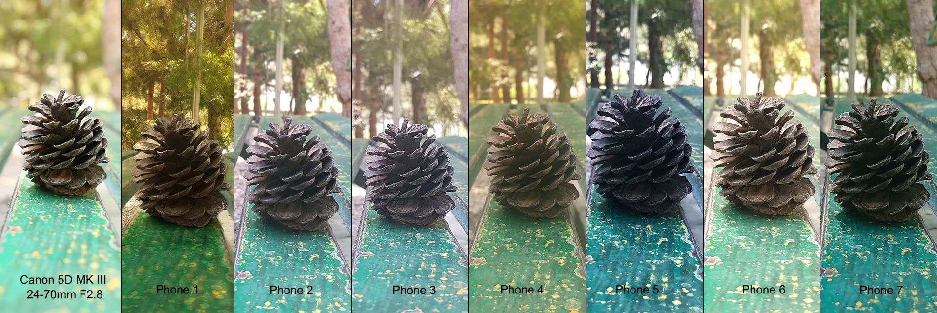 مقایسه دوربین آیفون 7 گلکسی اس 7 نکسوس 6 پی