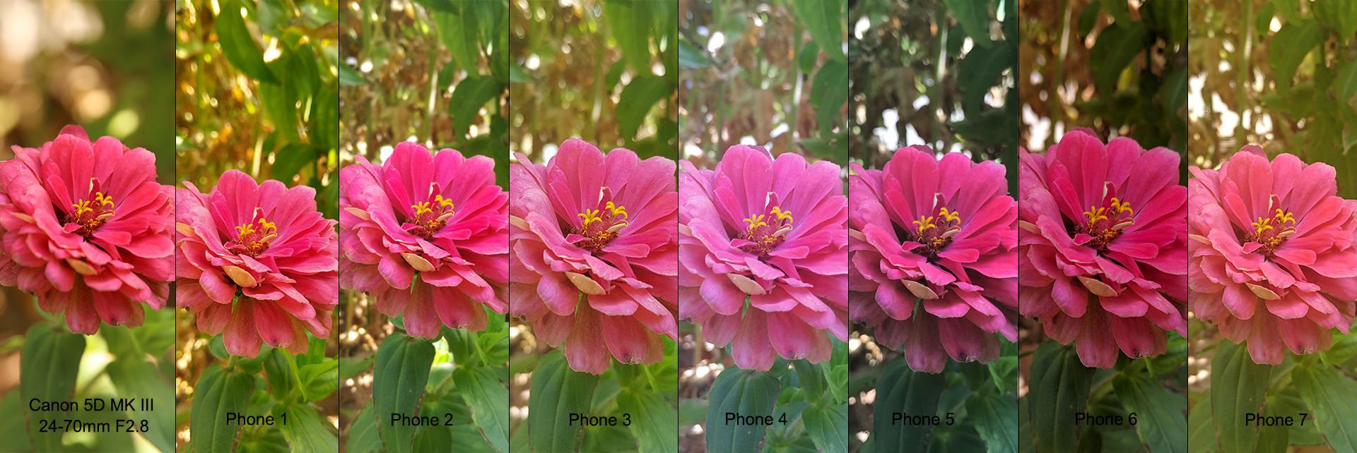 مقایسه دوربین آیفون 7 گلکسی اس 7 نکسوس 6 پی