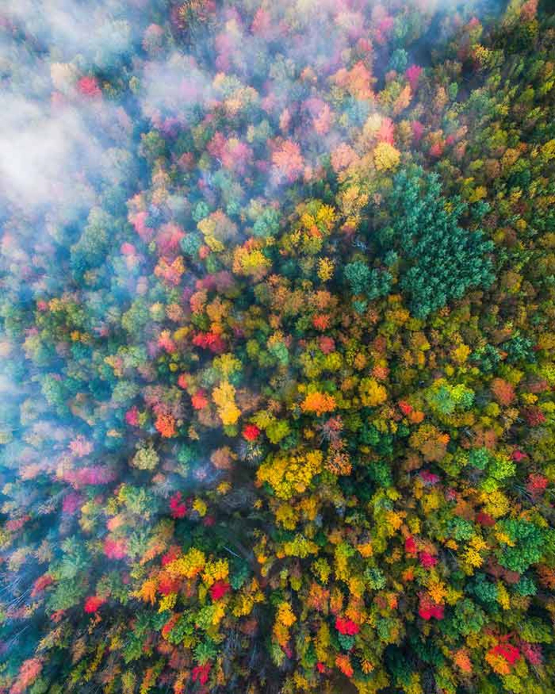 چشم انداز زیبای فصل پاییز در ایالات متحده