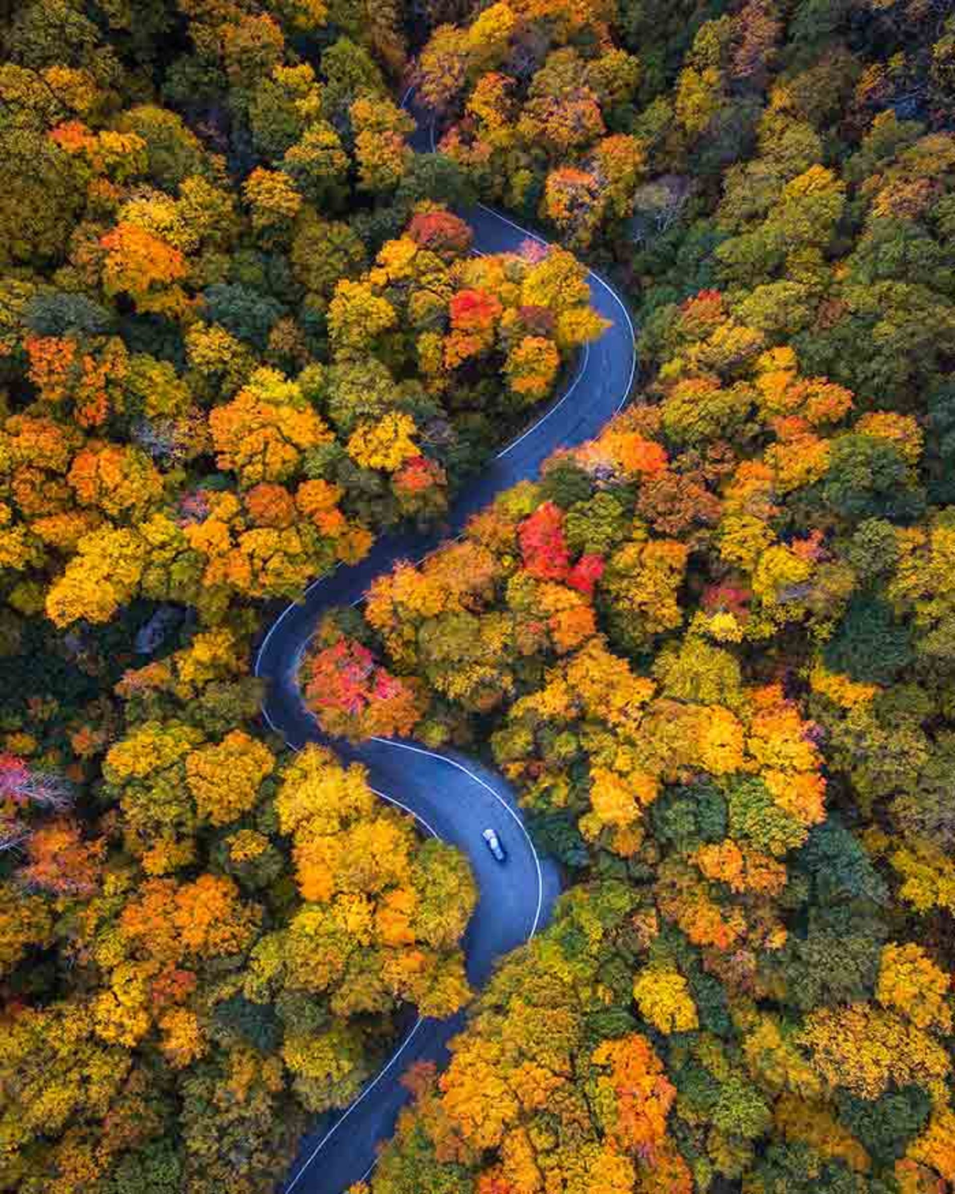 چشم انداز زیبای فصل پاییز در ایالات متحده