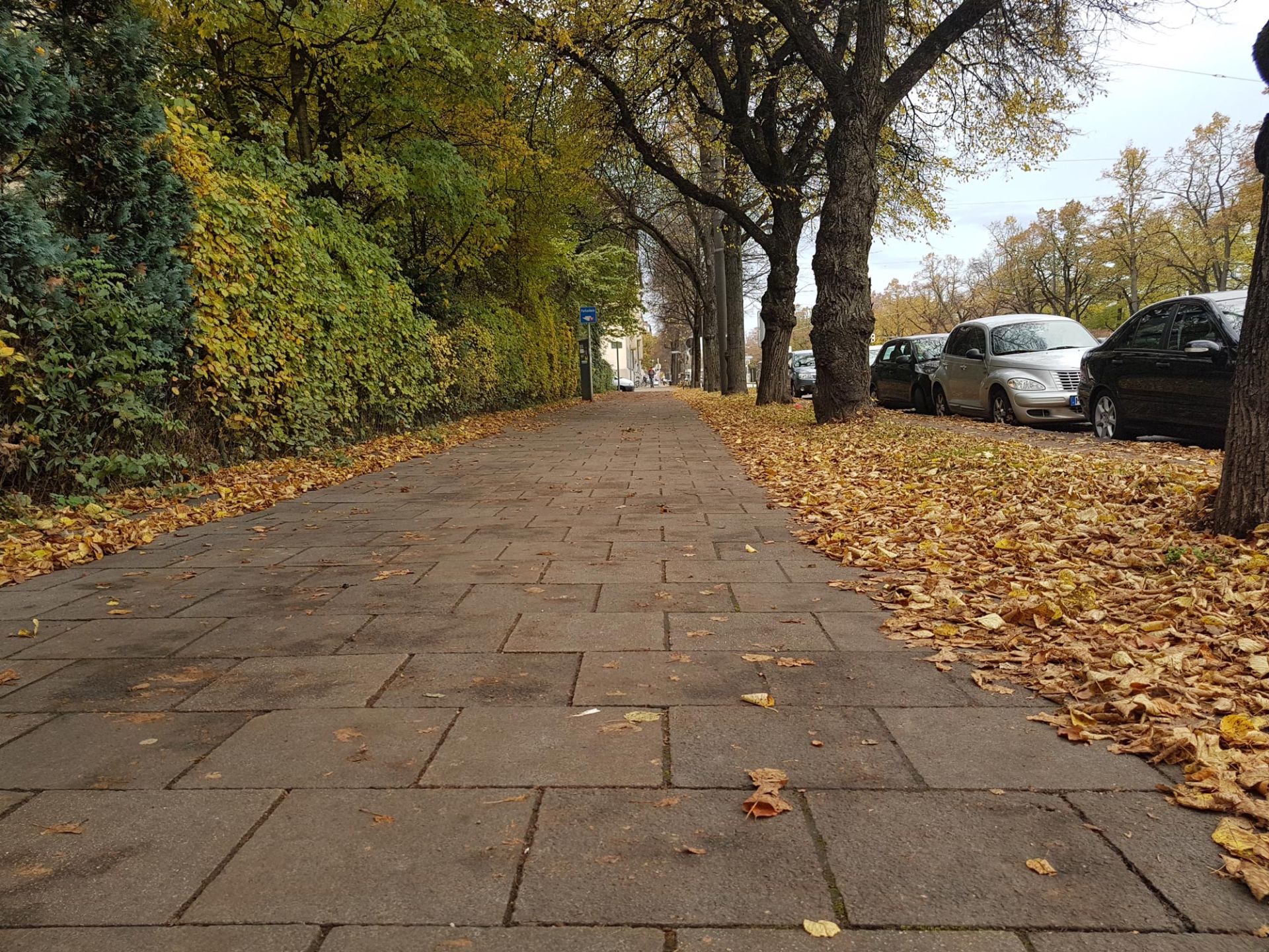 نمونه تصویر گلکسی اس 7