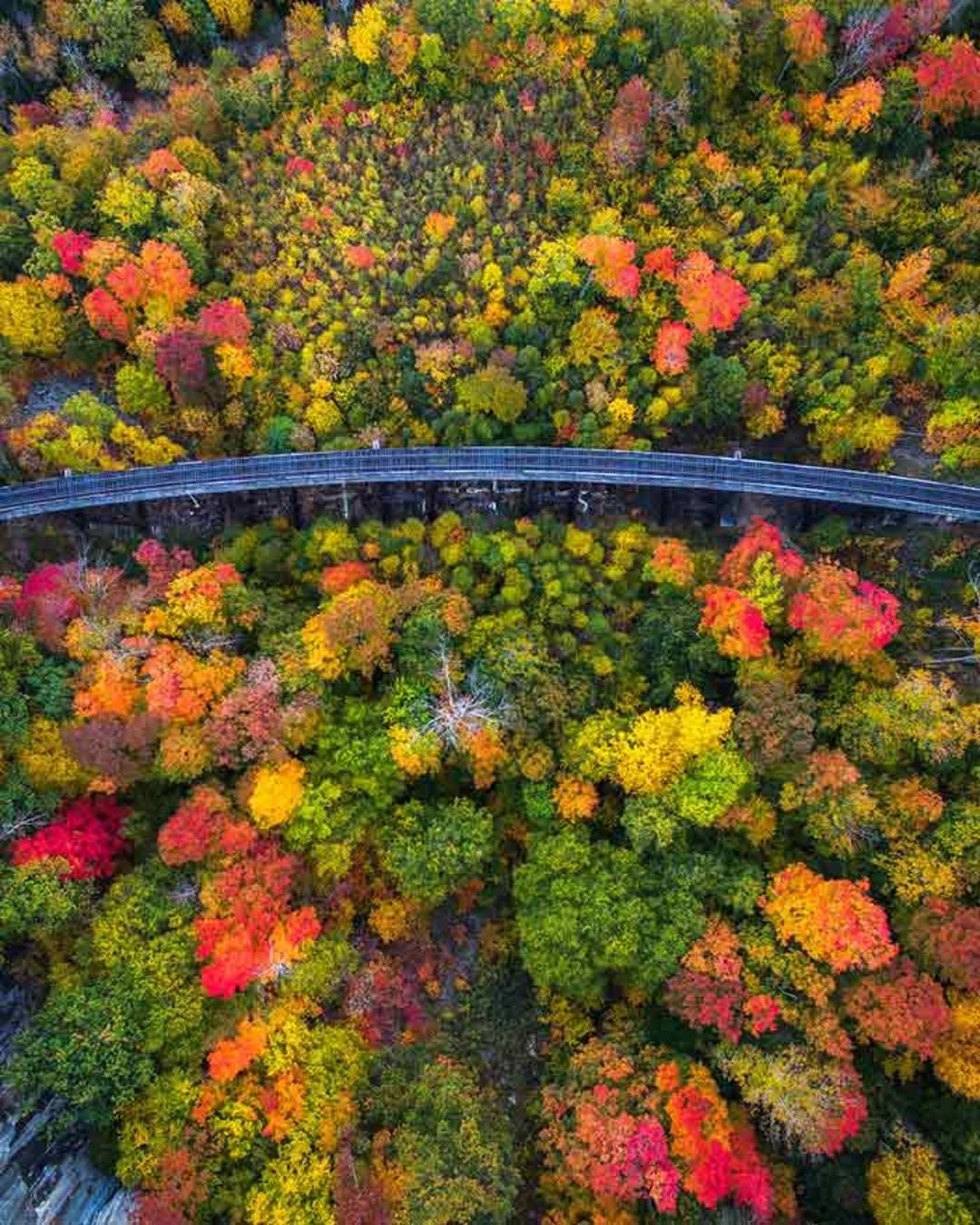 چشم انداز زیبای فصل پاییز در ایالات متحده