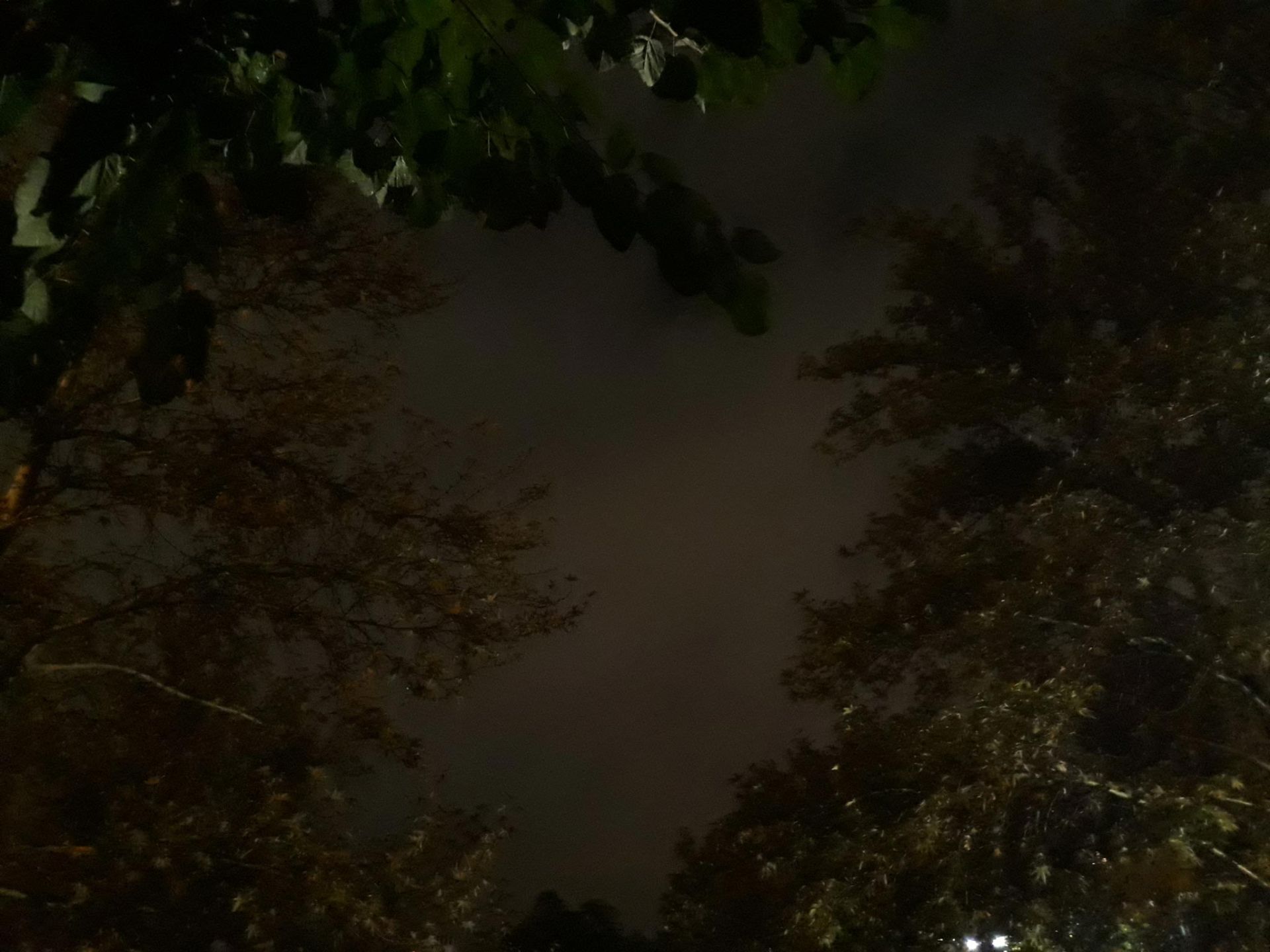 نمونه تصاویر دوربین جی 7 پرایم