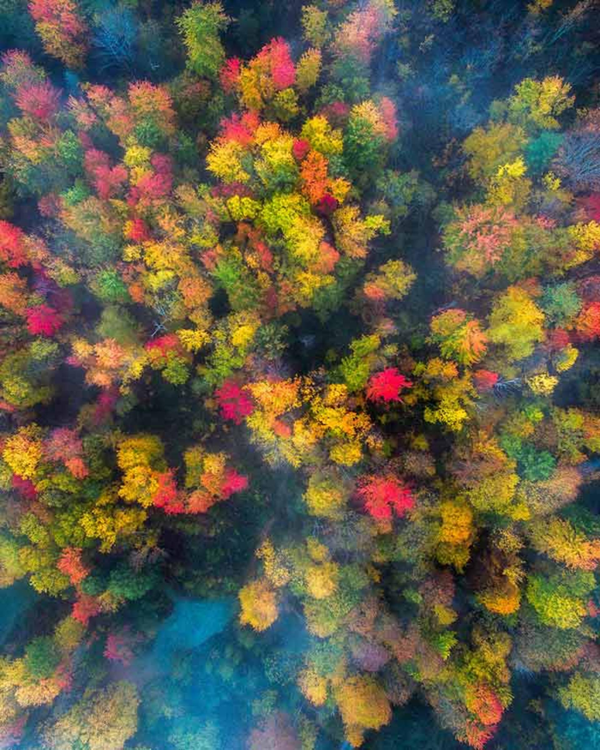 چشم انداز زیبای فصل پاییز در ایالات متحده