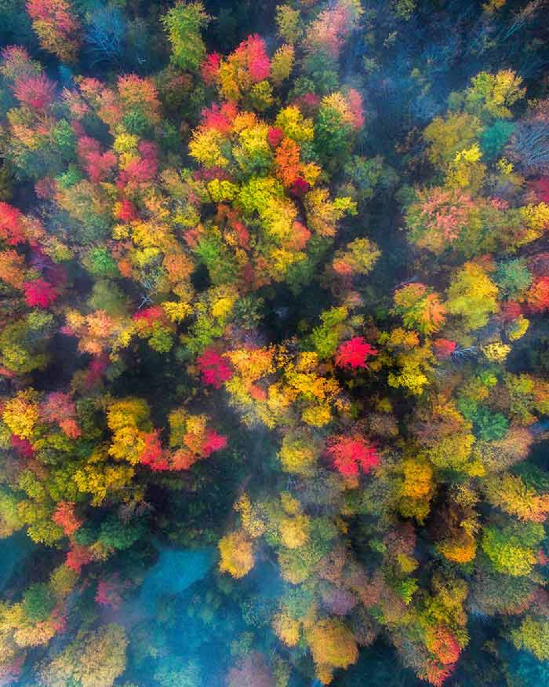 چشم انداز زیبای فصل پاییز در ایالات متحده