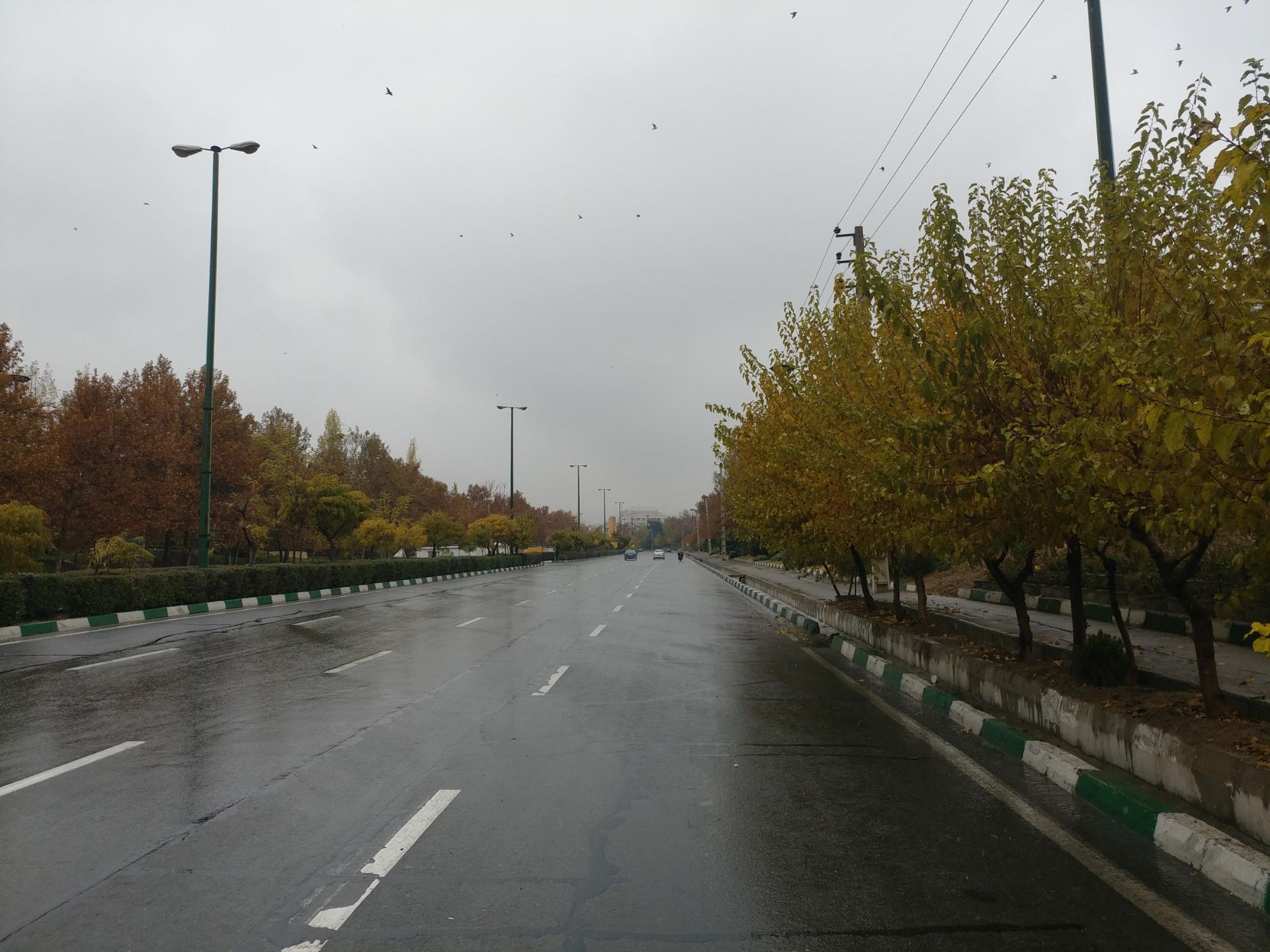 نمونه تصاویر دوربین وی 20 ال جی
