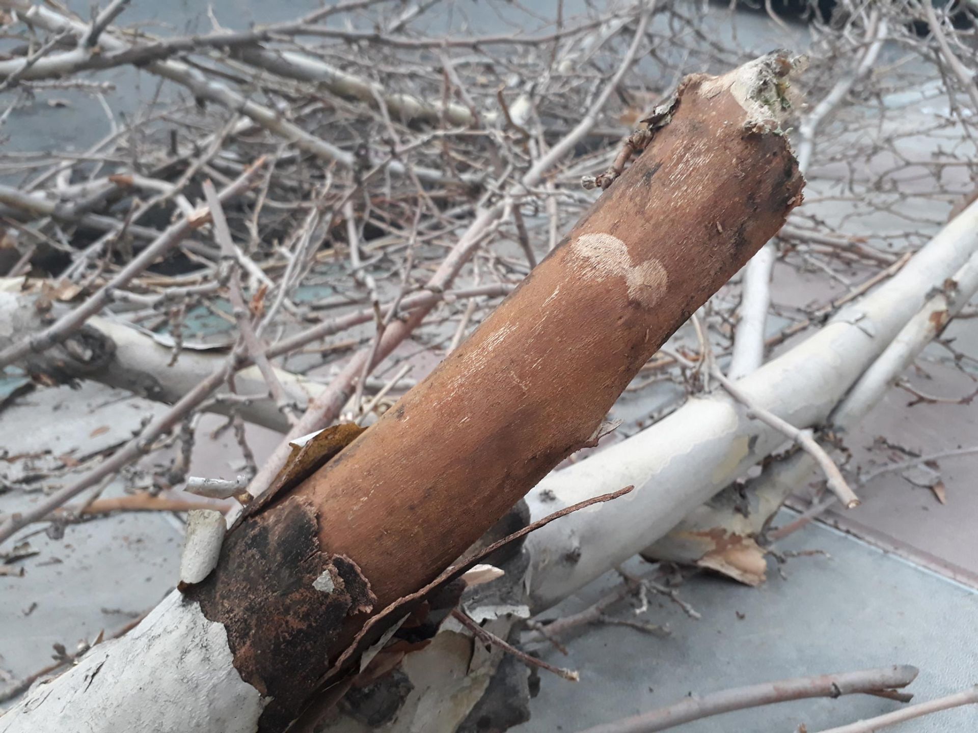 نمونه تصاویر دوربین جی 7 پرایم