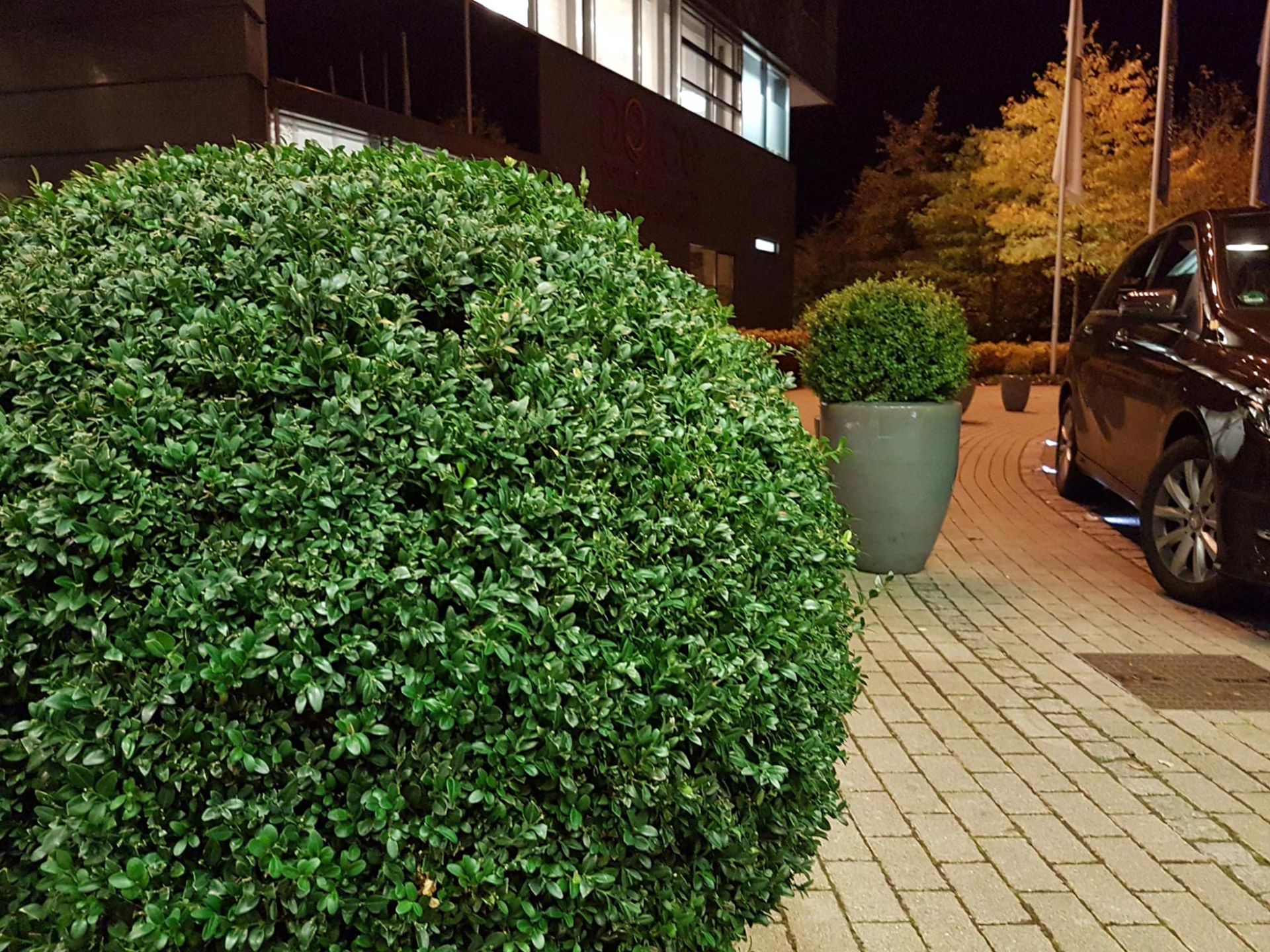 نمونه تصاویر گلکسی اس 7