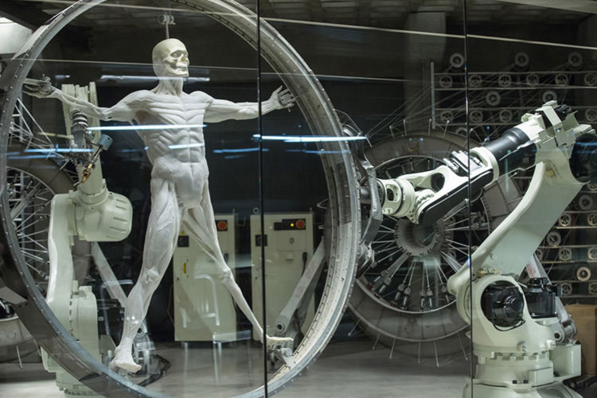 اندروید وست ورلد