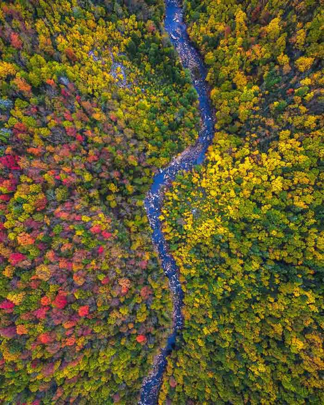 چشم انداز زیبای فصل پاییز در ایالات متحده