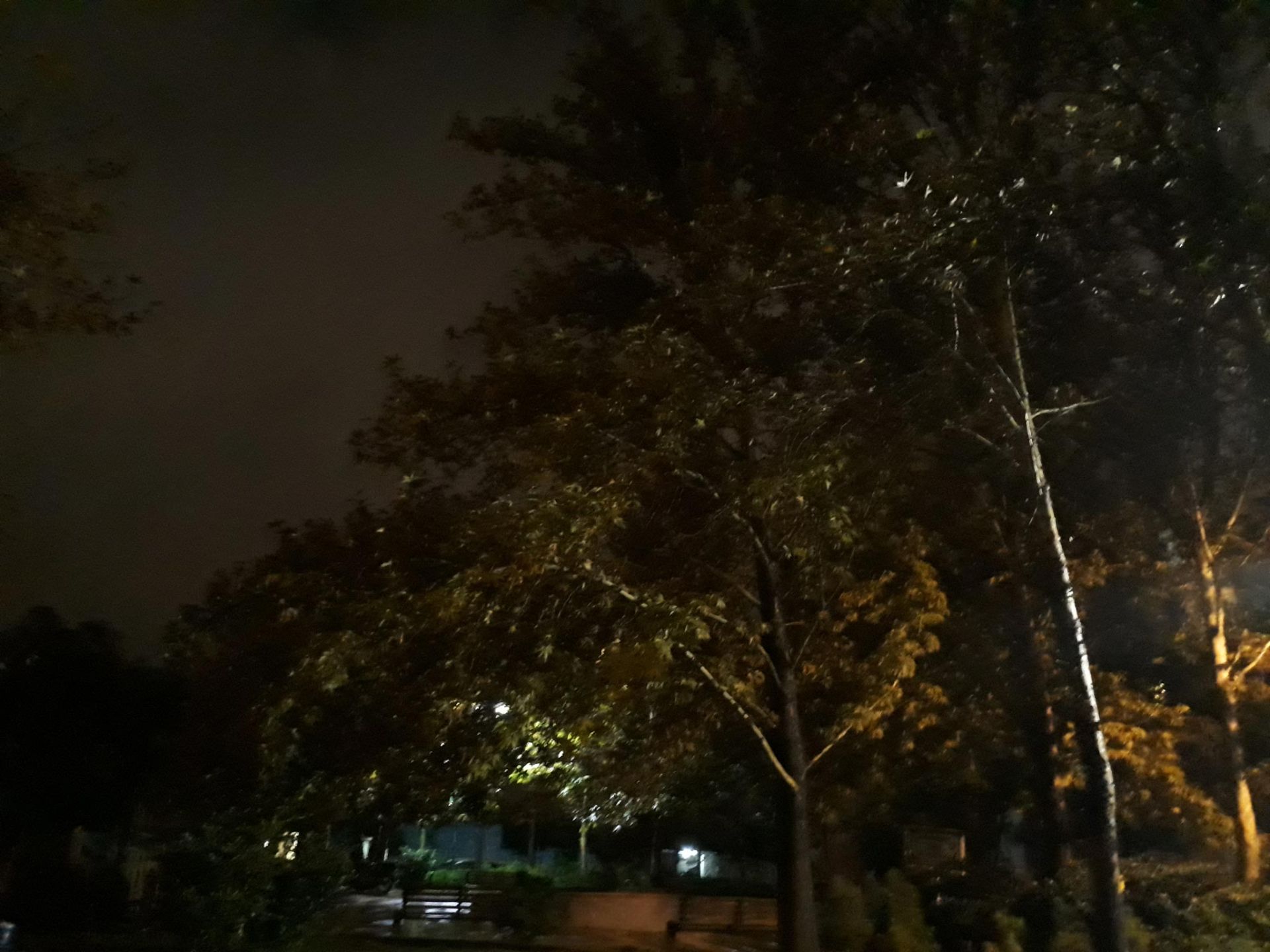 نمونه تصاویر دوربین جی 7 پرایم