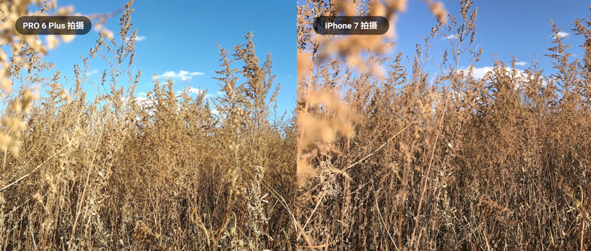 میزو پرو 6 پلاس