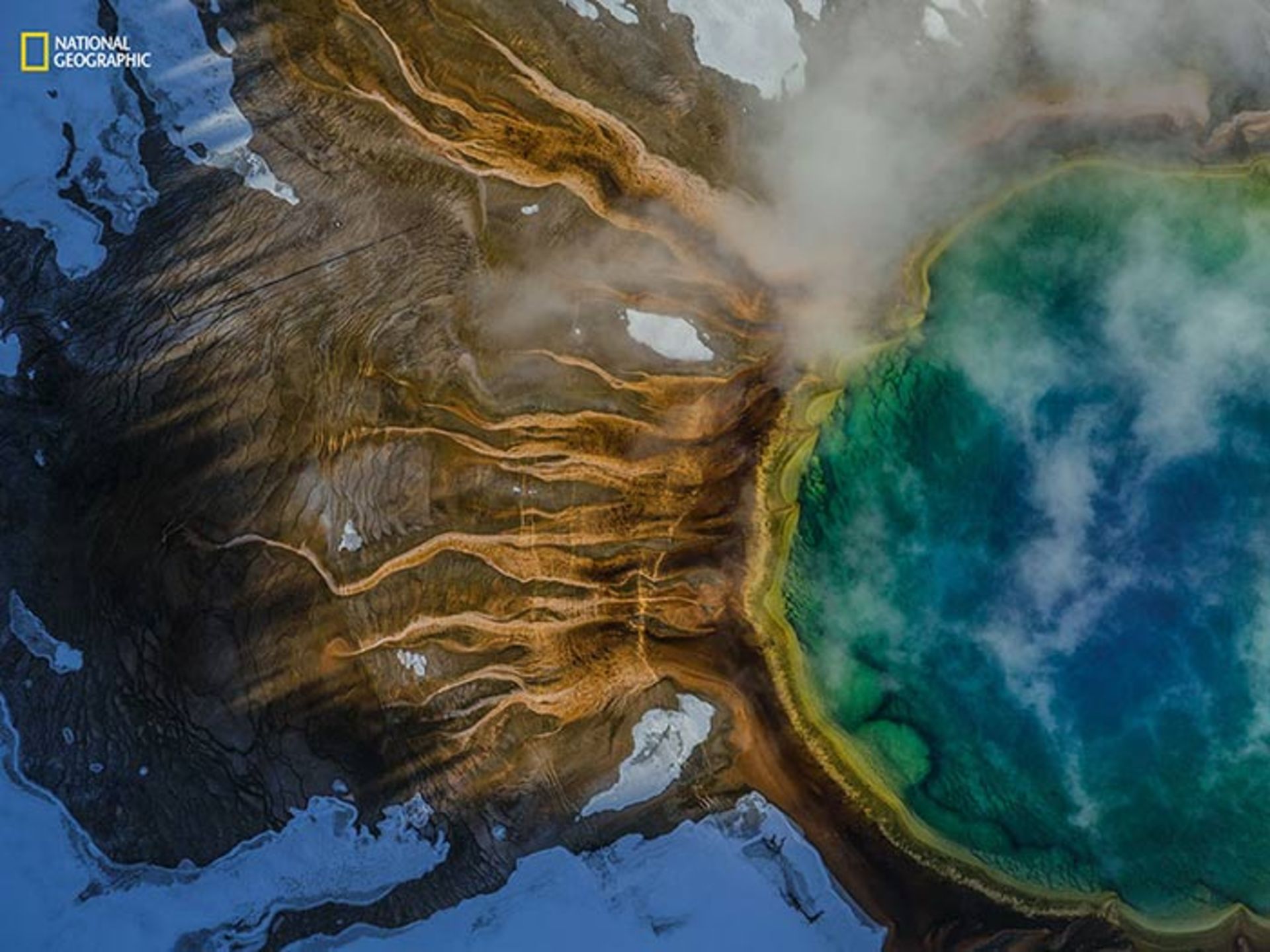 بهترین تصاویر سال 2016 به انتخاب نشنال جئوگرافی