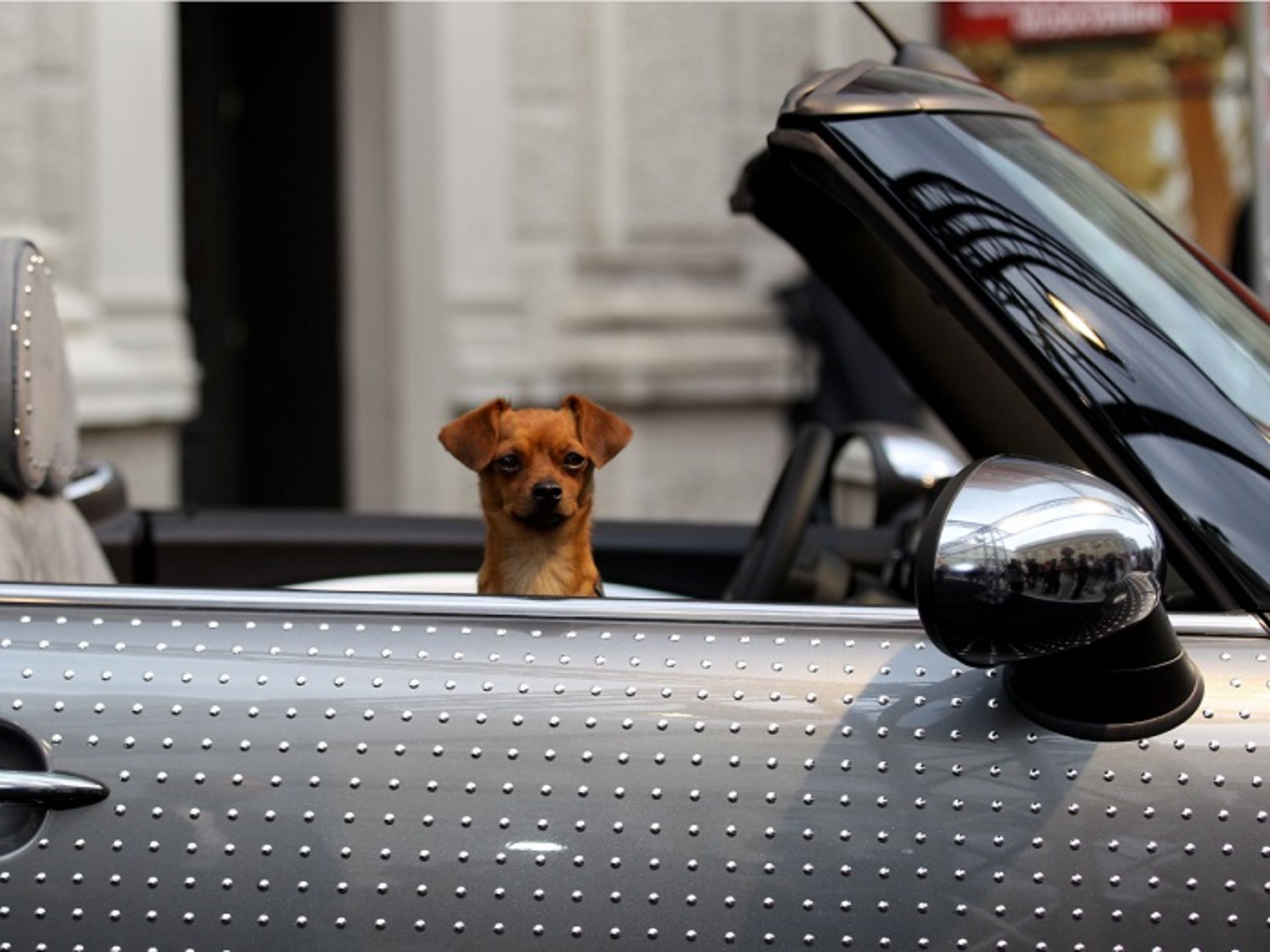 برترین نوآوری های خودرویی سال 2016