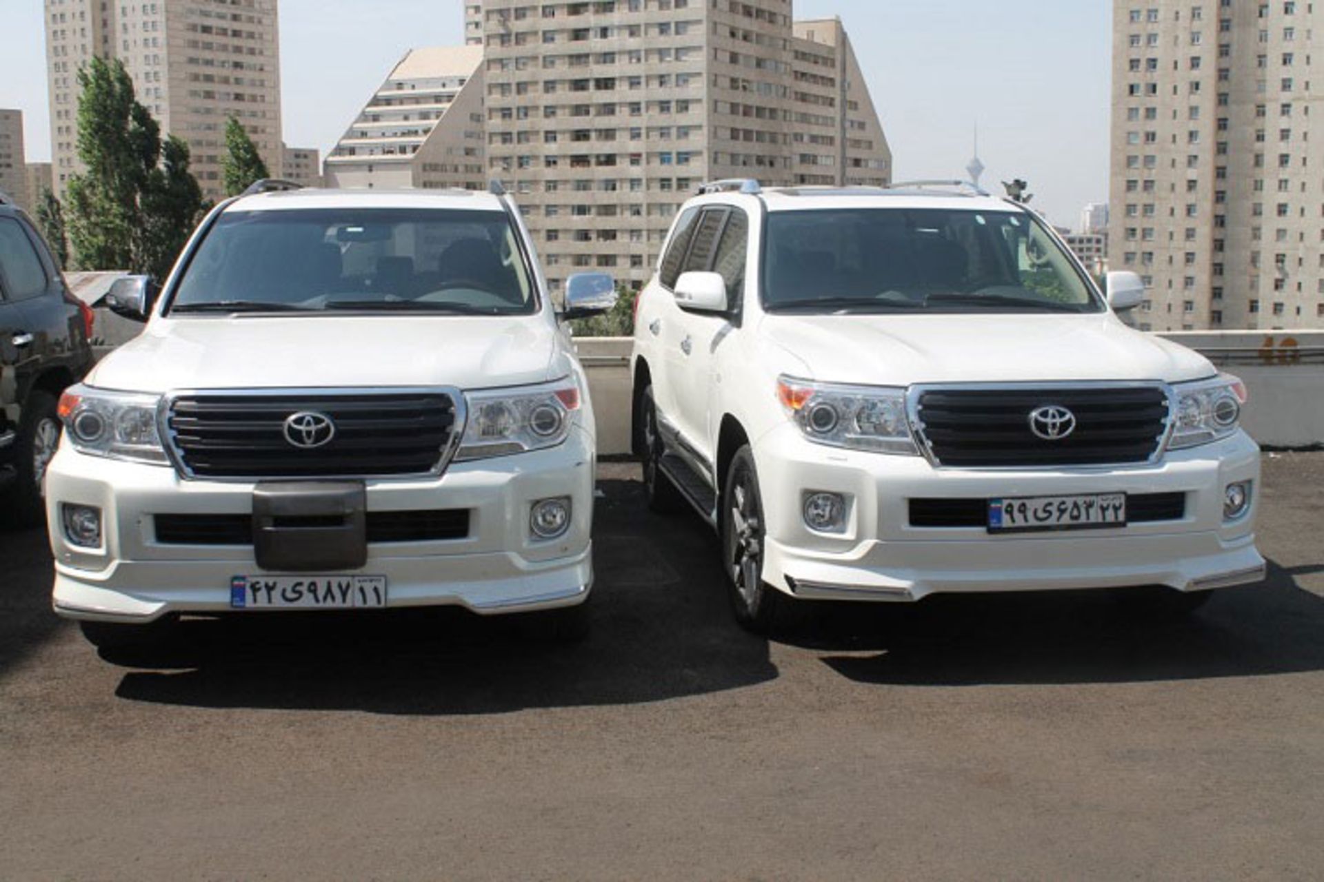 دانا تشریفات