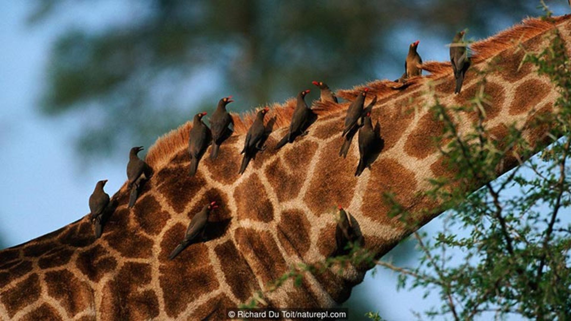 همزیستی مسالمت امیز