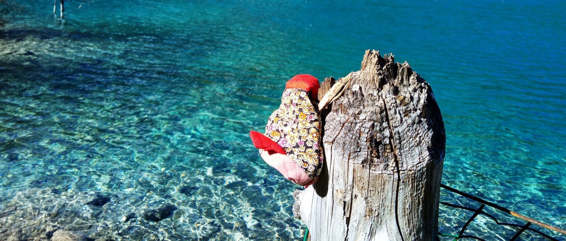 میزو ام 5 نوت