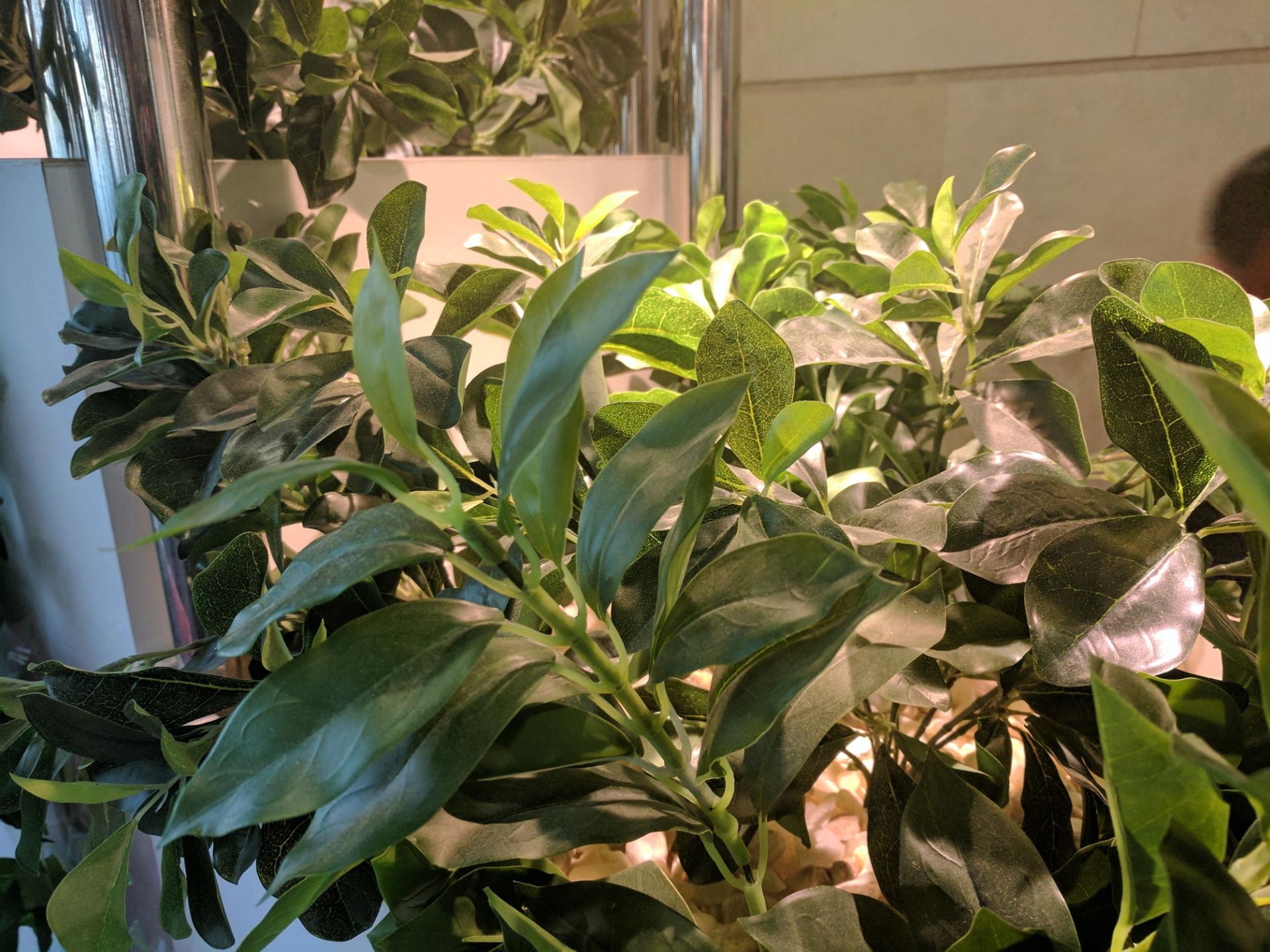 نمونه تصاویر عکس پیکسل ایکس ال