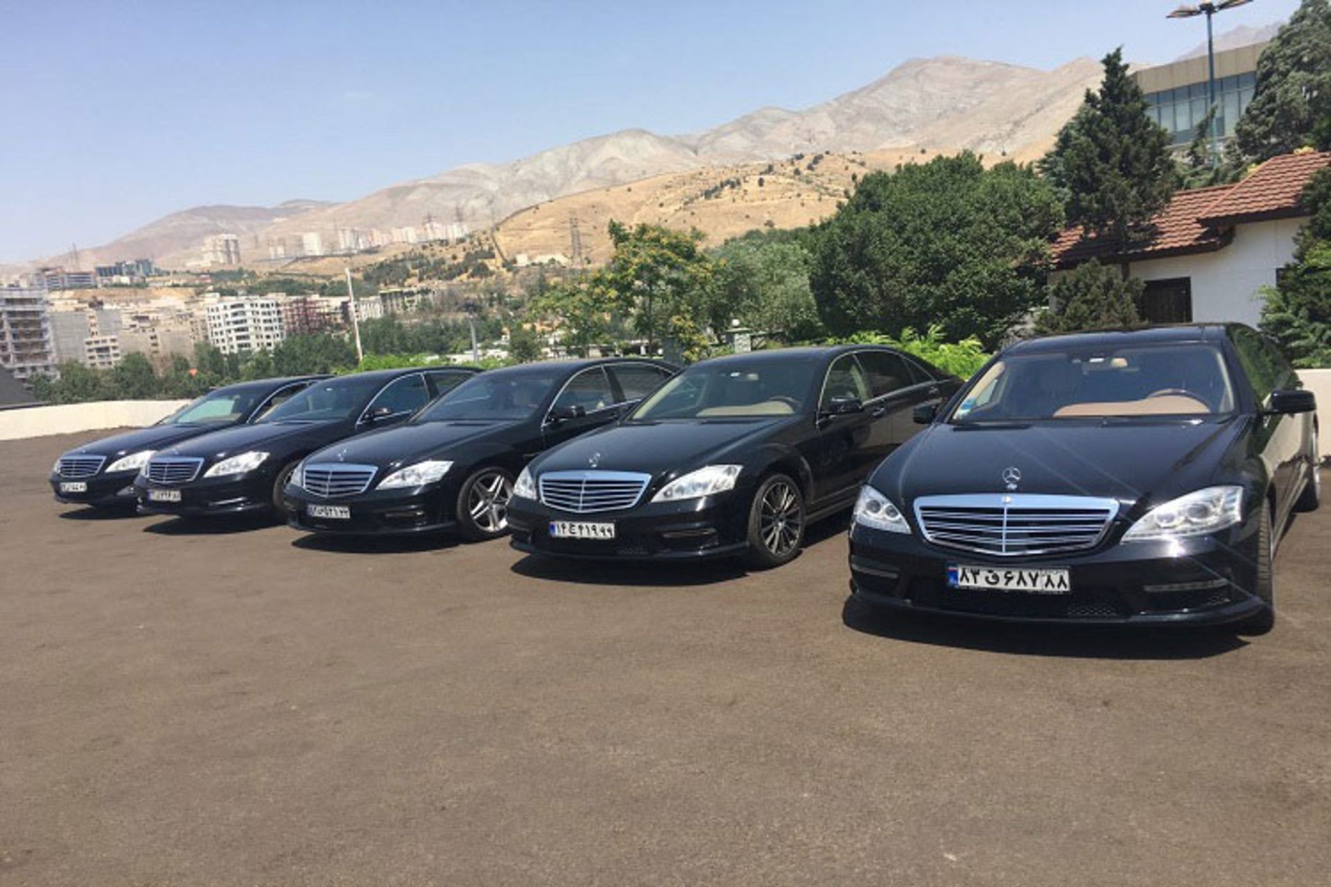 دانا تشریفات