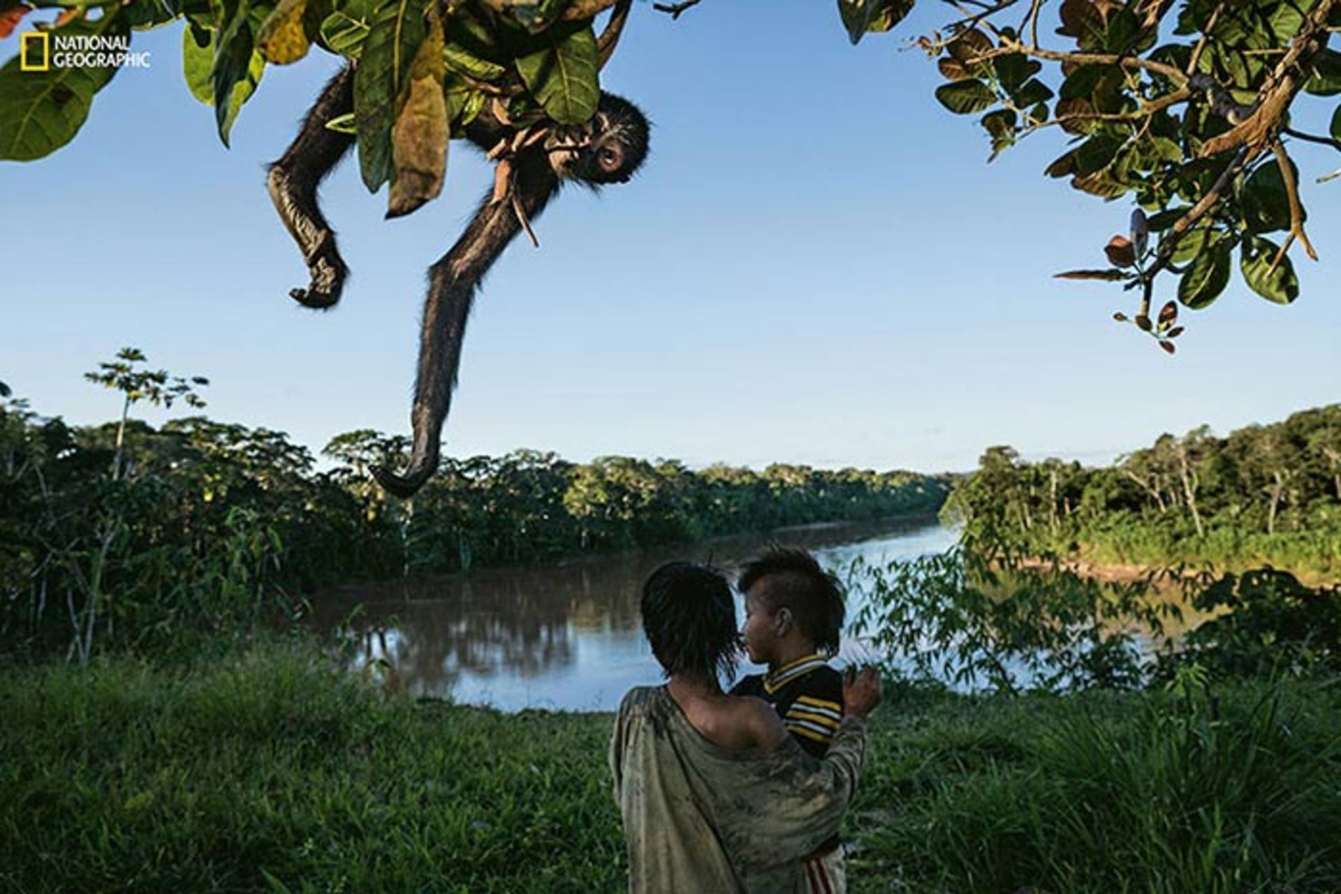 بهترین تصاویر سال 2016 به انتخاب نشنال جئوگرافی