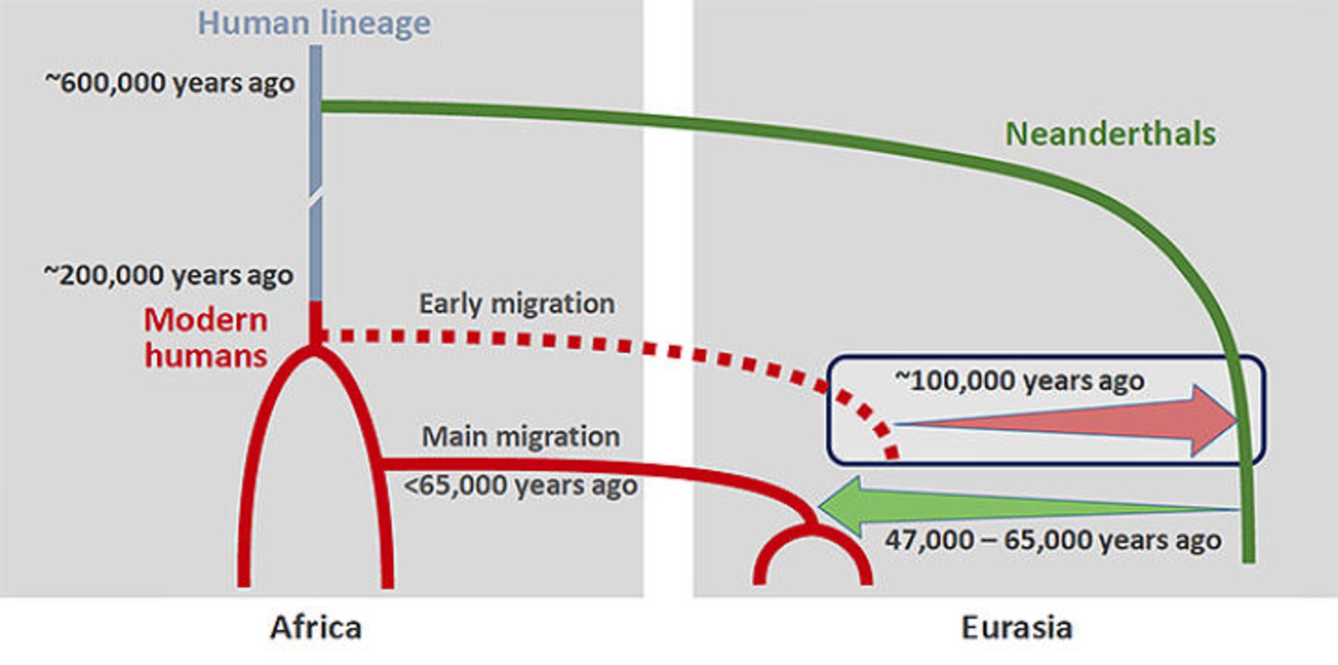نمودار زمانی مهاجرت