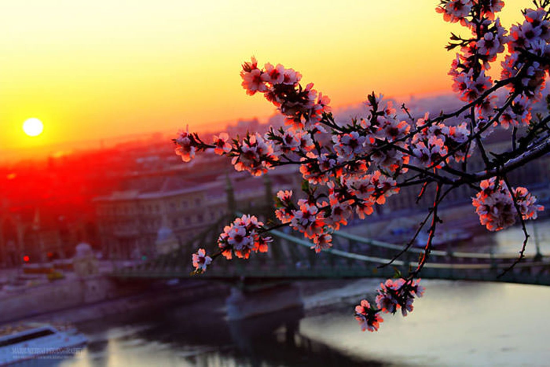 عکاسی و بازی نور و سایه در بوداپست