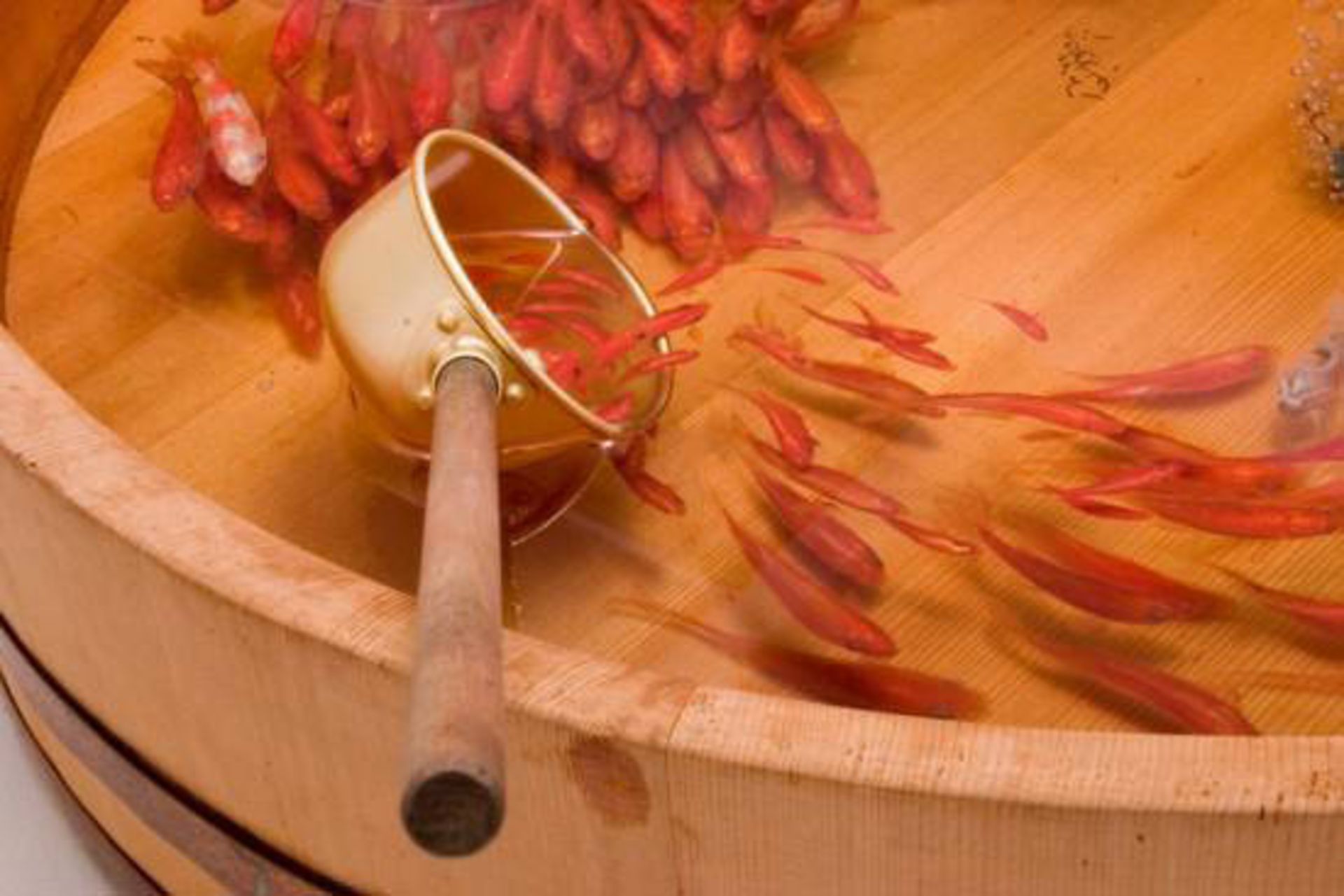 نقاشی سه بعدی ریوسوکه فوکوهاری